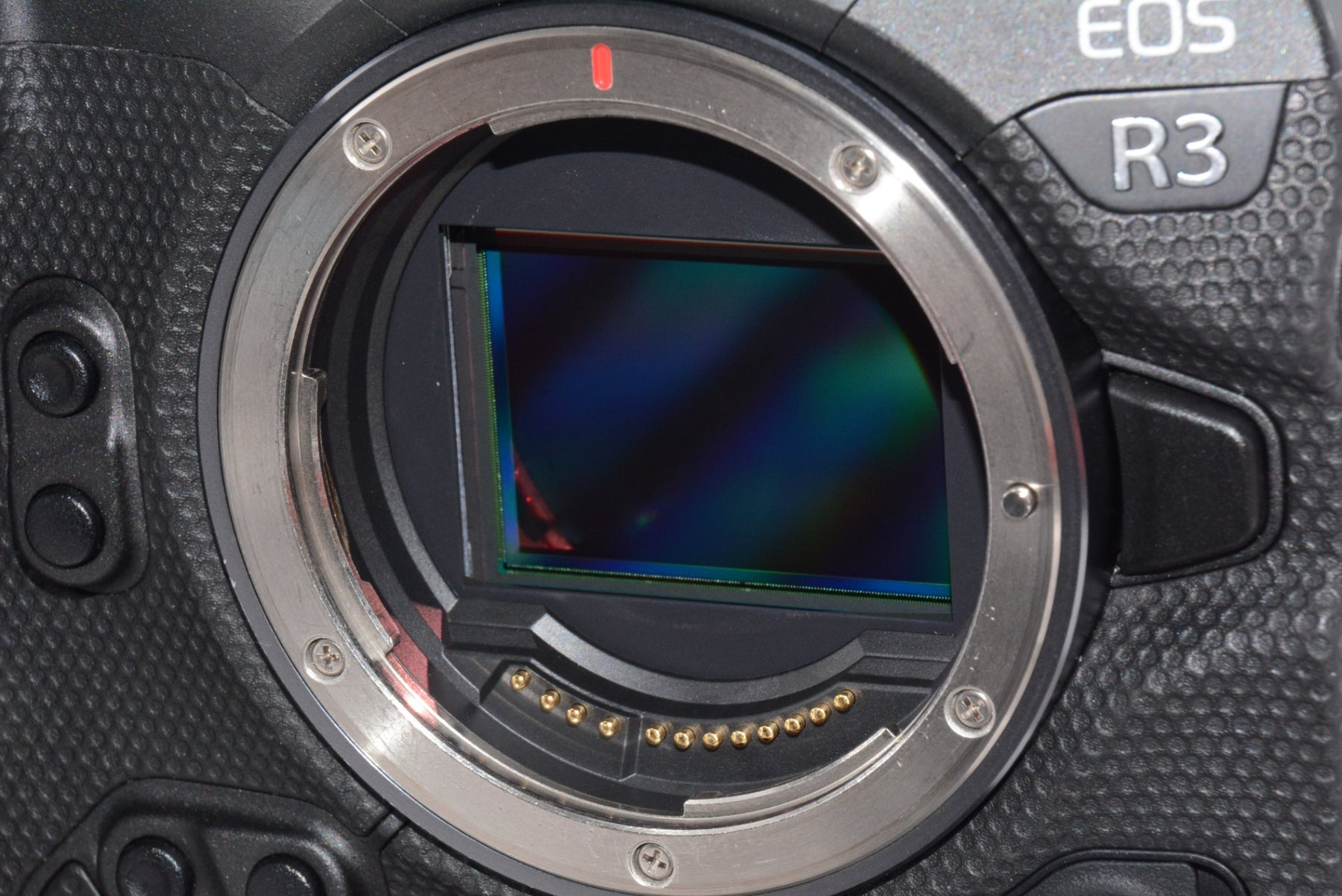 【外観特上級】Canon EOS R3 ボディ フルサイズ ミラーレスカメラ キヤノン