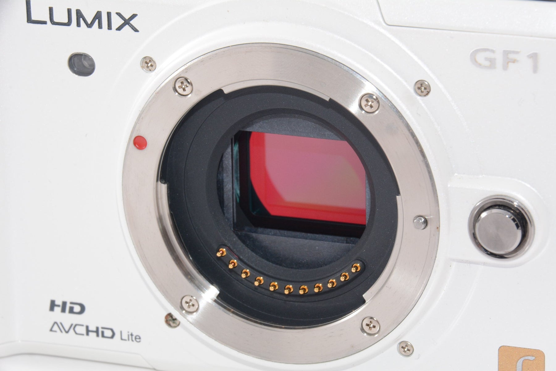 【外観特上級】DMC-GF1 ホワイトPanasonic LUMIX ボディ