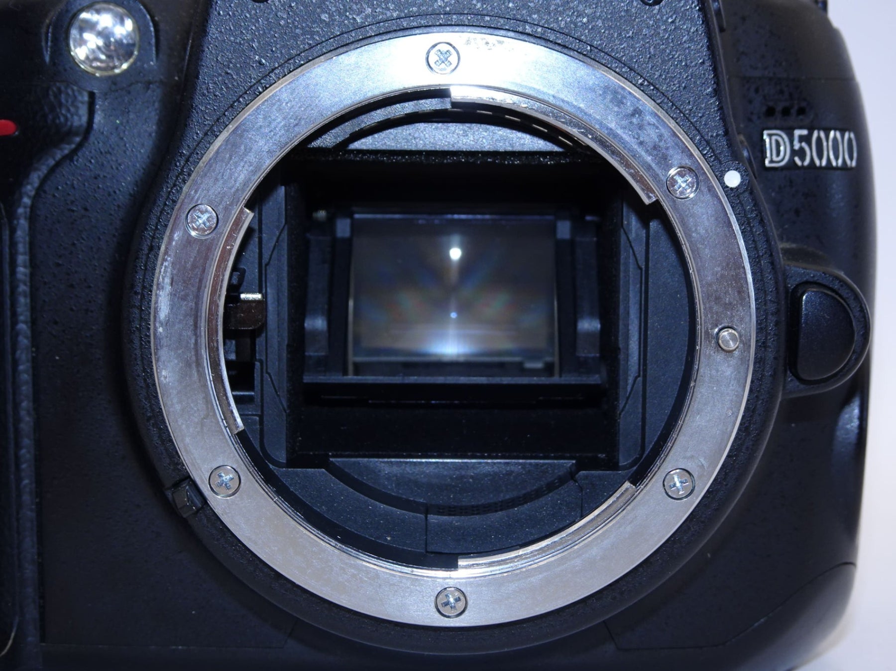 【外観並級】Nikon デジタル一眼レフカメラ D5000 ボディ D5000