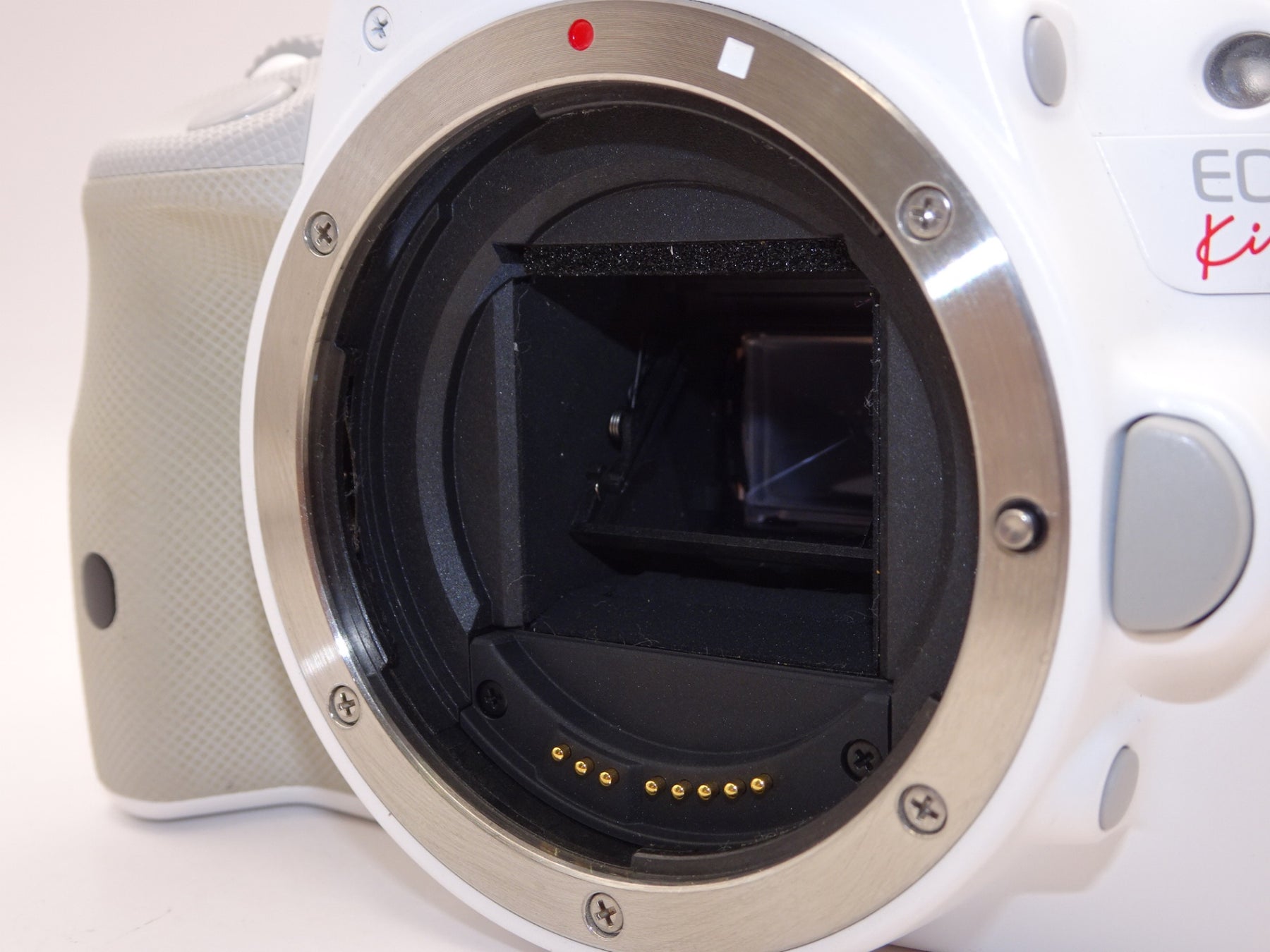 【外観特上級】Canon キャノン EOS Kiss X7 ボディ