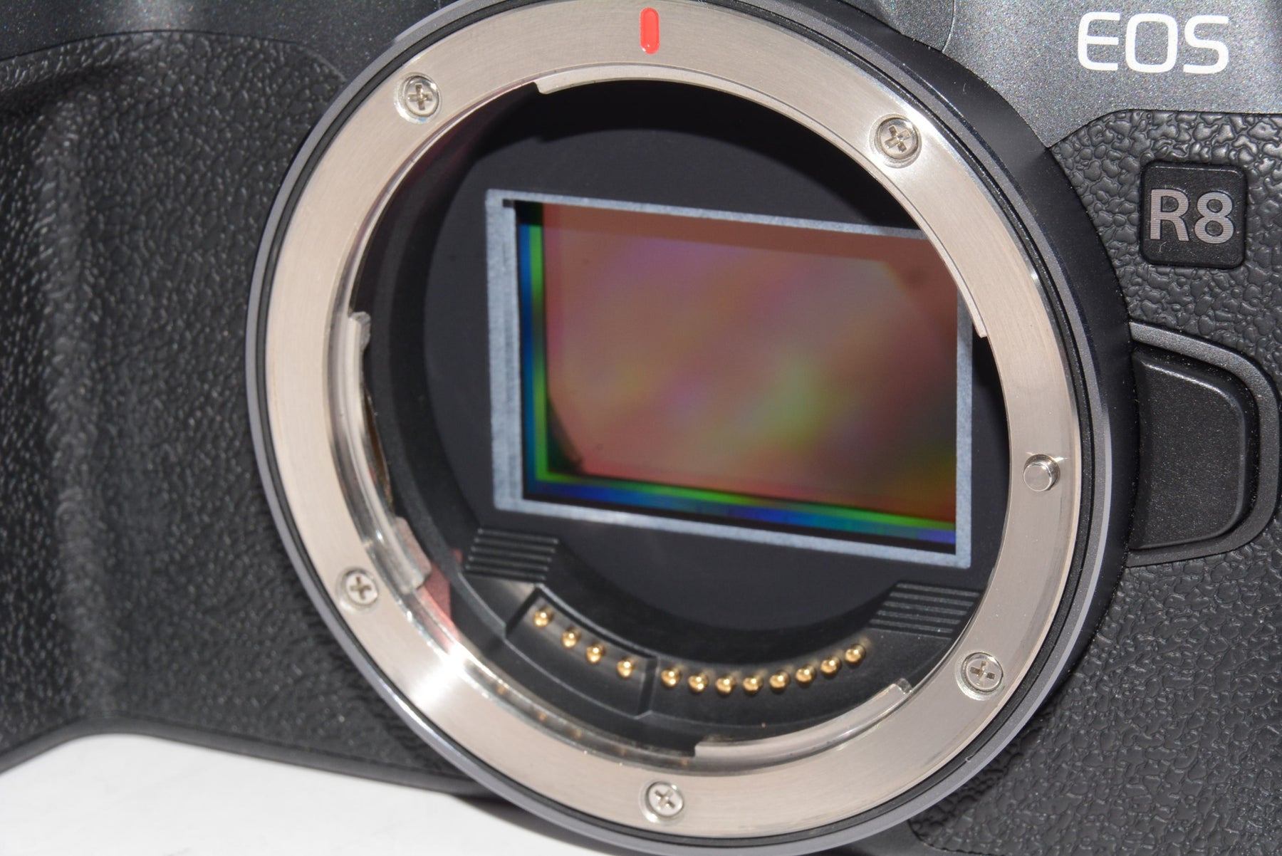 【外観特上級】Canon キヤノン ミラーレス一眼カメラ EOS R8 本体のみ RFマウント