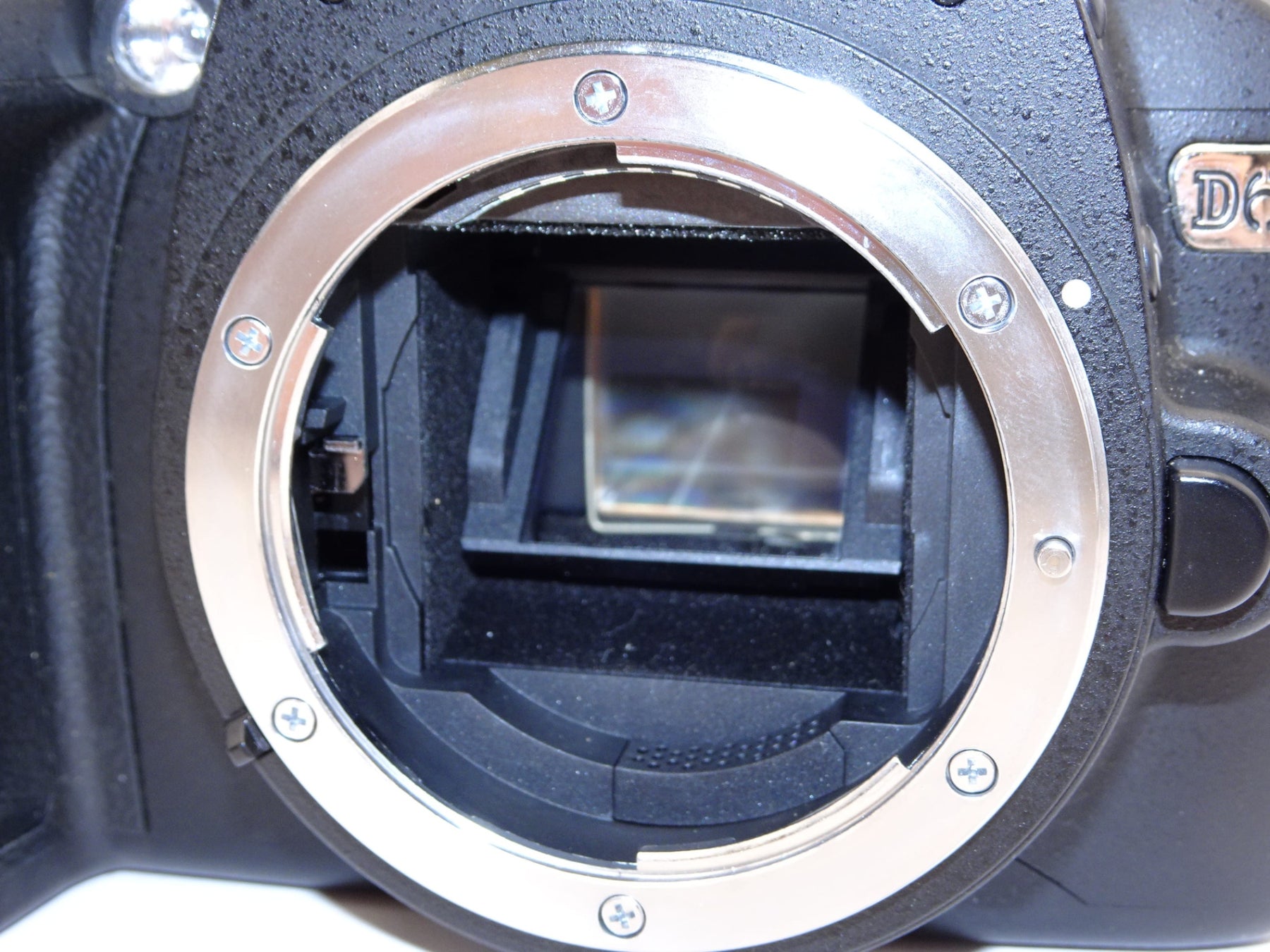 【外観並級】Nikon デジタル一眼レフカメラ D60 ボディ