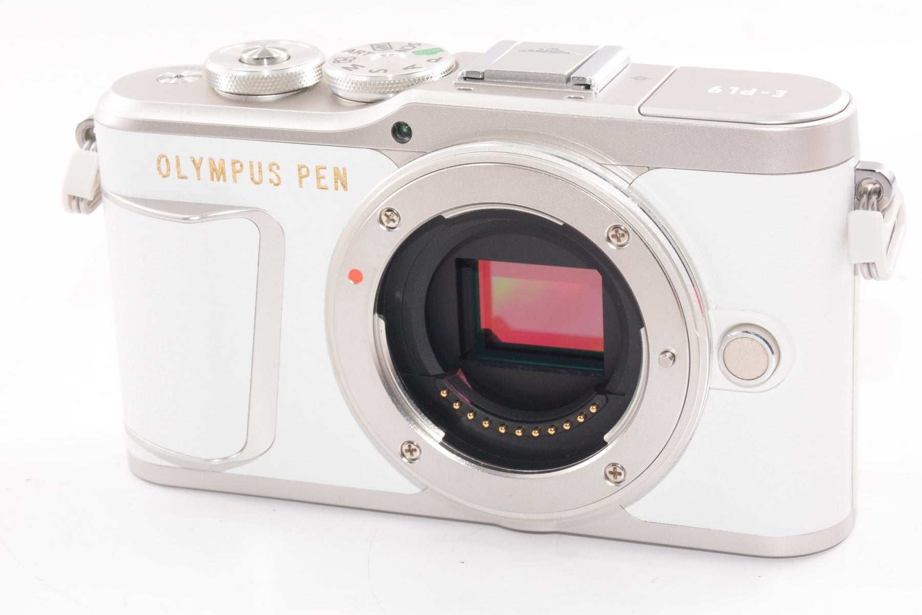 【外観特上級】OLYMPUS ミラーレス一眼カメラ PEN E-PL9 ボディー ホワイト