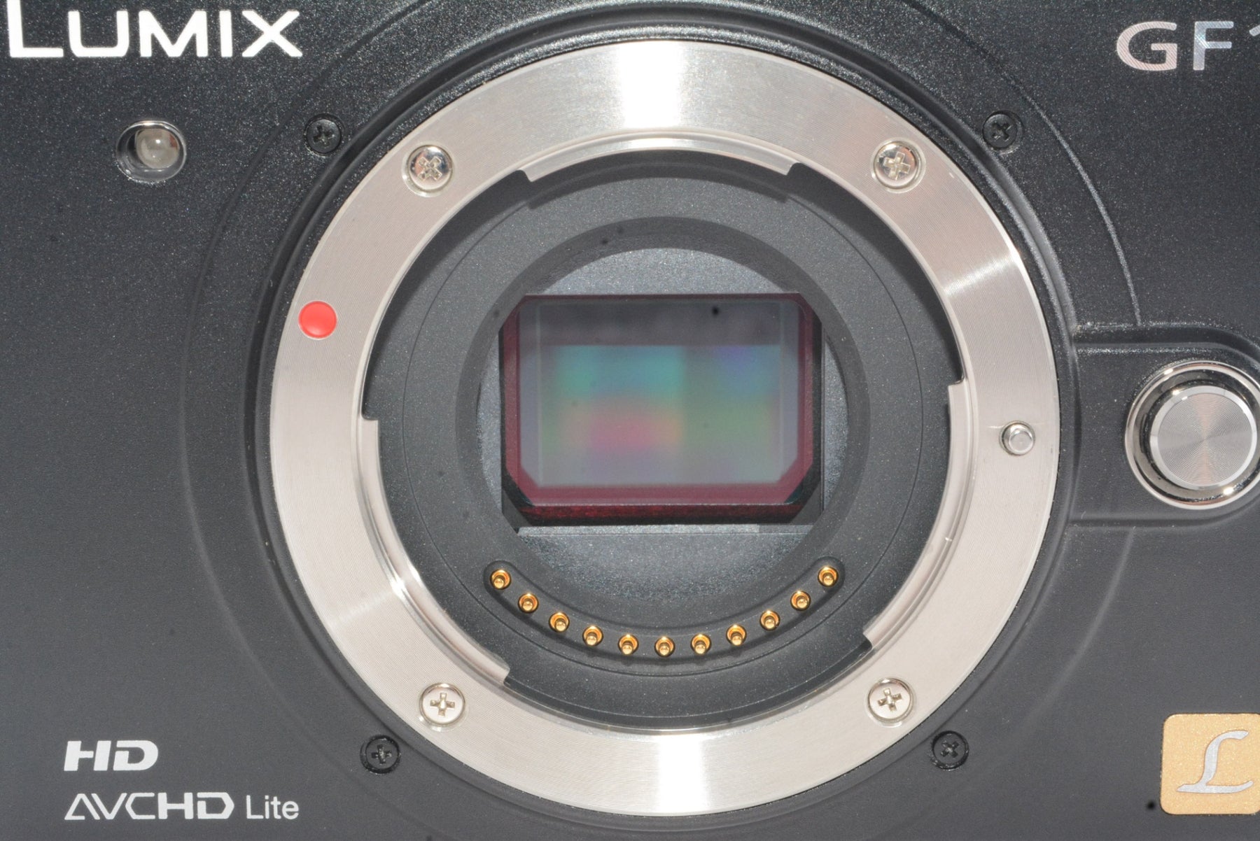 【外観特上級】Panasonic LUMIX GF1 ボディ DMC-GF1