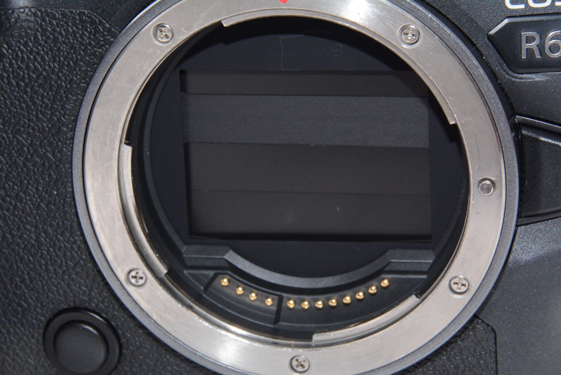 【外観並級】Canon ミラーレス一眼カメラ EOS R6 ボディー EOSR6