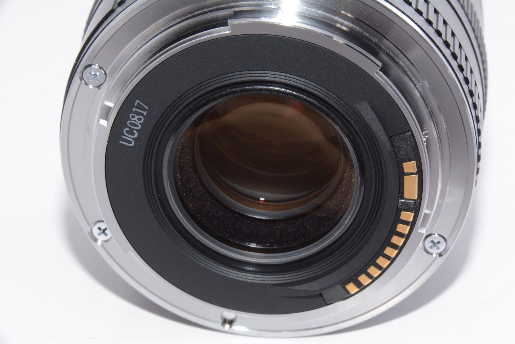 【外観特上級】Canon 単焦点マクロレンズ EF50mm F2.5 コンパクトマクロ フルサイズ対応