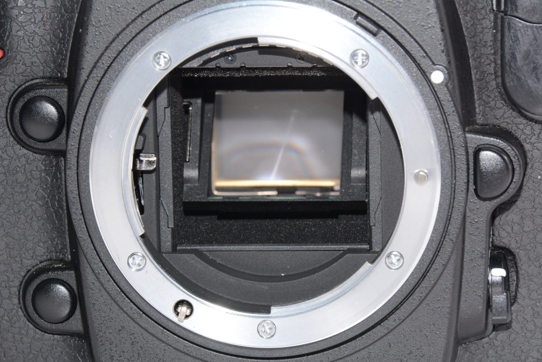 【外観特上級】Nikon デジタル一眼レフカメラ D300