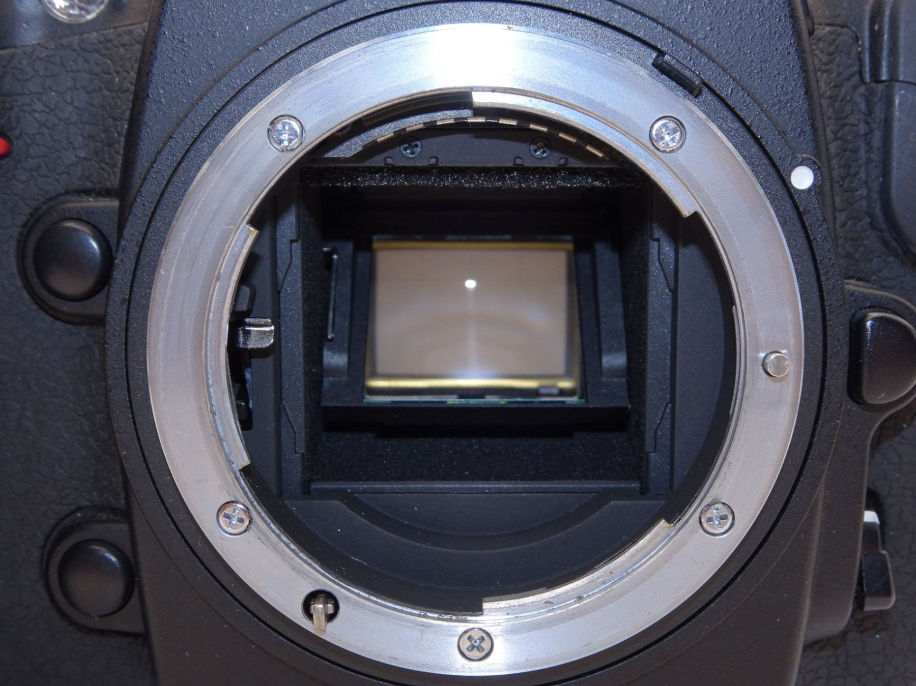 【外観特上級】Nikon デジタル一眼レフカメラ D300