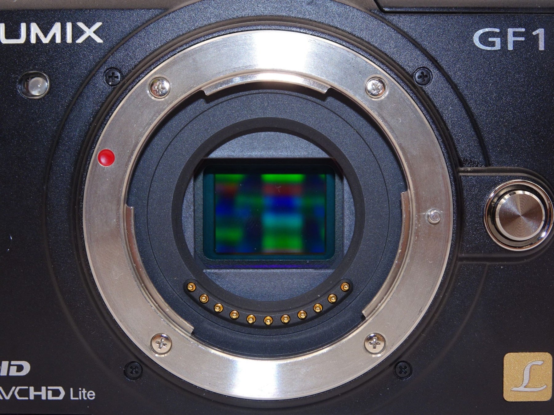 【外観特上級】Panasonic LUMIX GF1 ボディ DMC-GF1