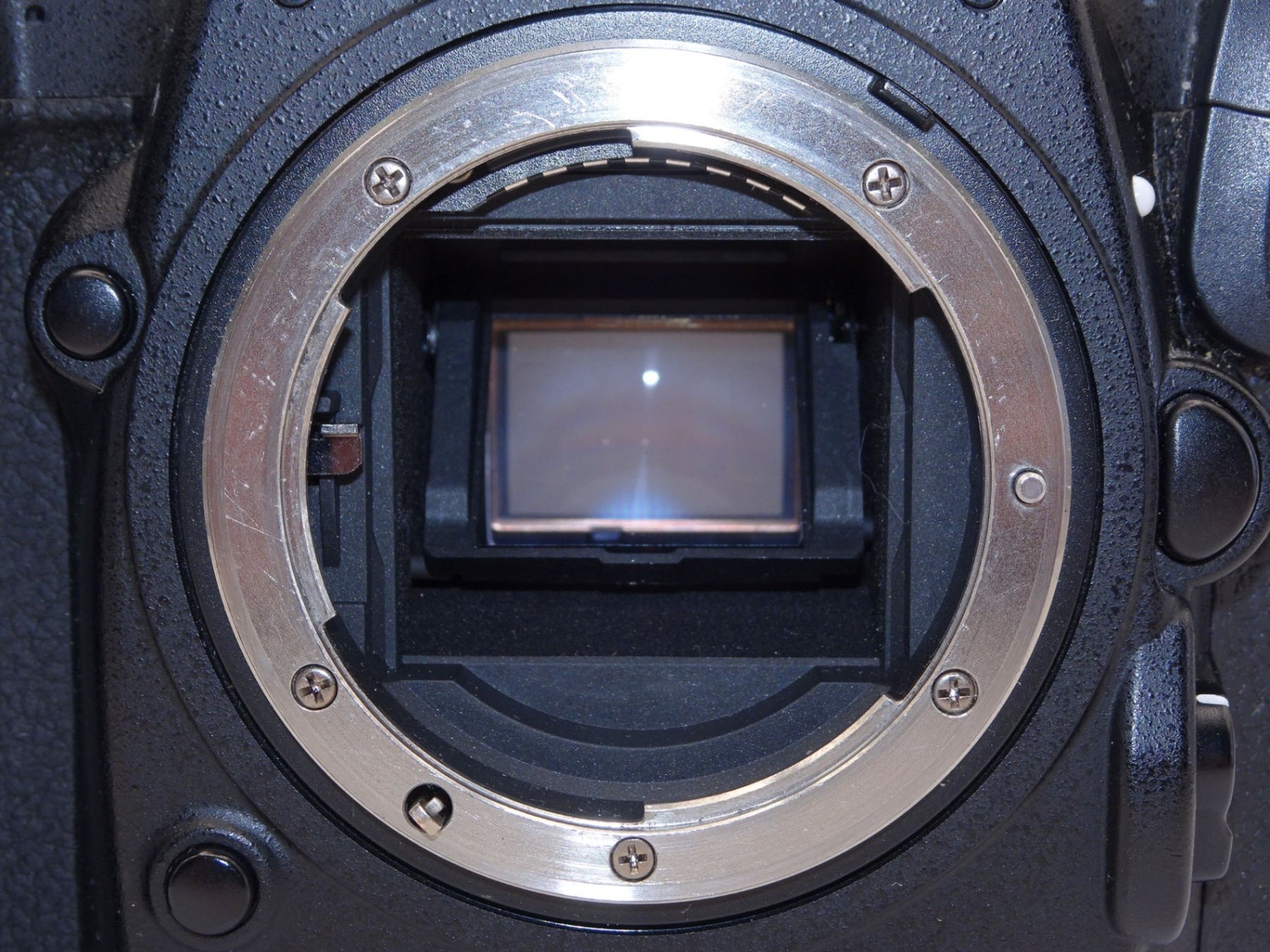 【外観並級】Nikon デジタル一眼レフカメラ D500 ボディ