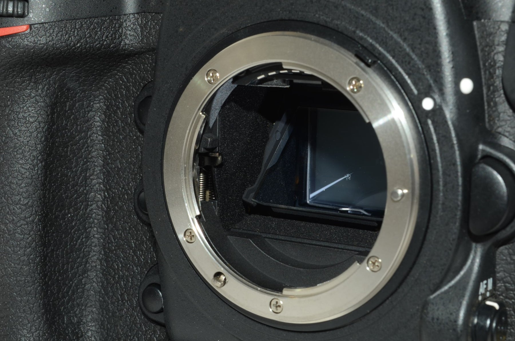 【外観並級】Nikon デジタル一眼レフカメラ D5 (XQD-Type)