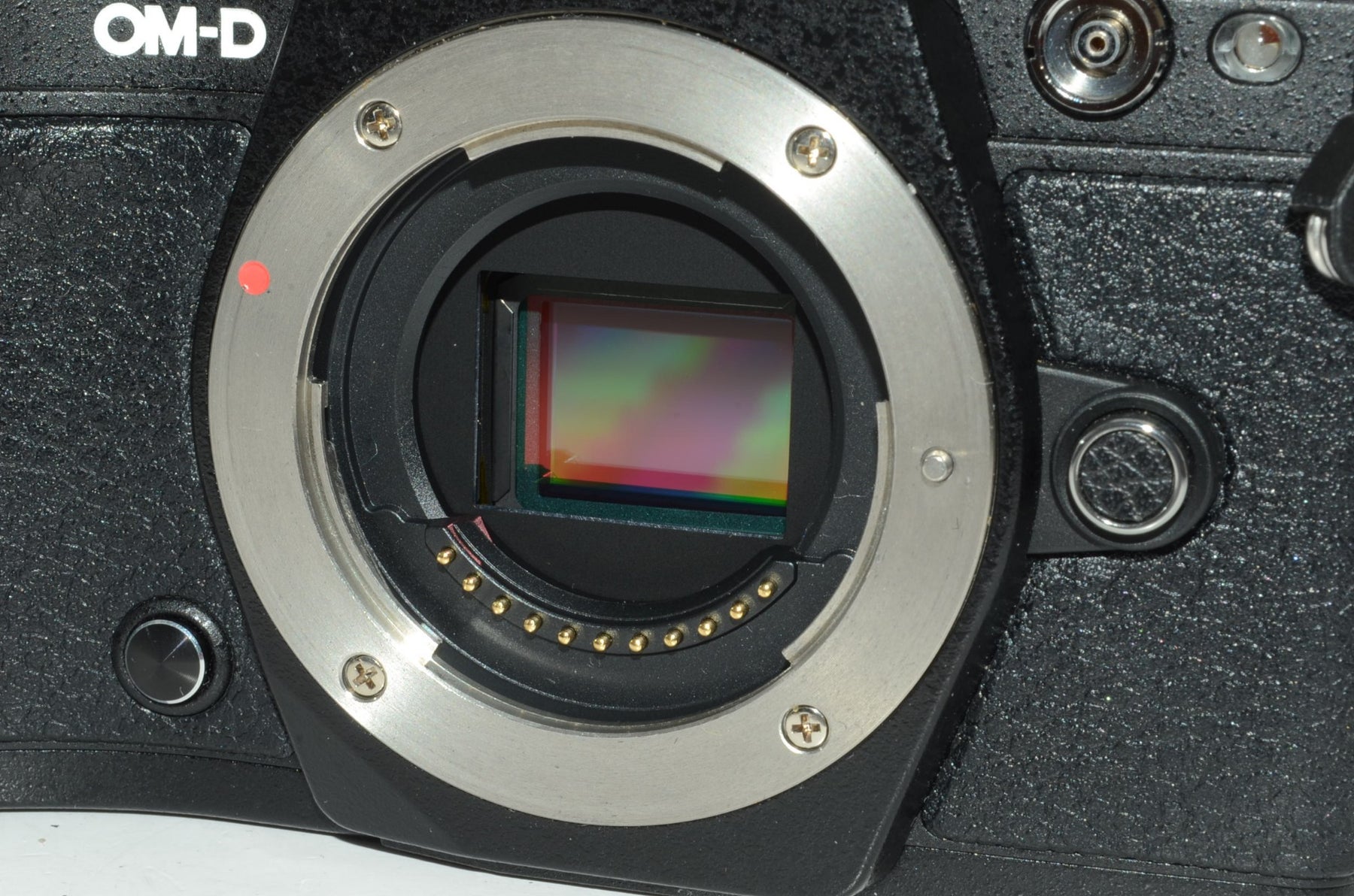 【外観特上級】OLYMPUS ミラーレス一眼 OM-D E-M5 MarkII ボディー ブラック E-M5 MarkIIBody BLK