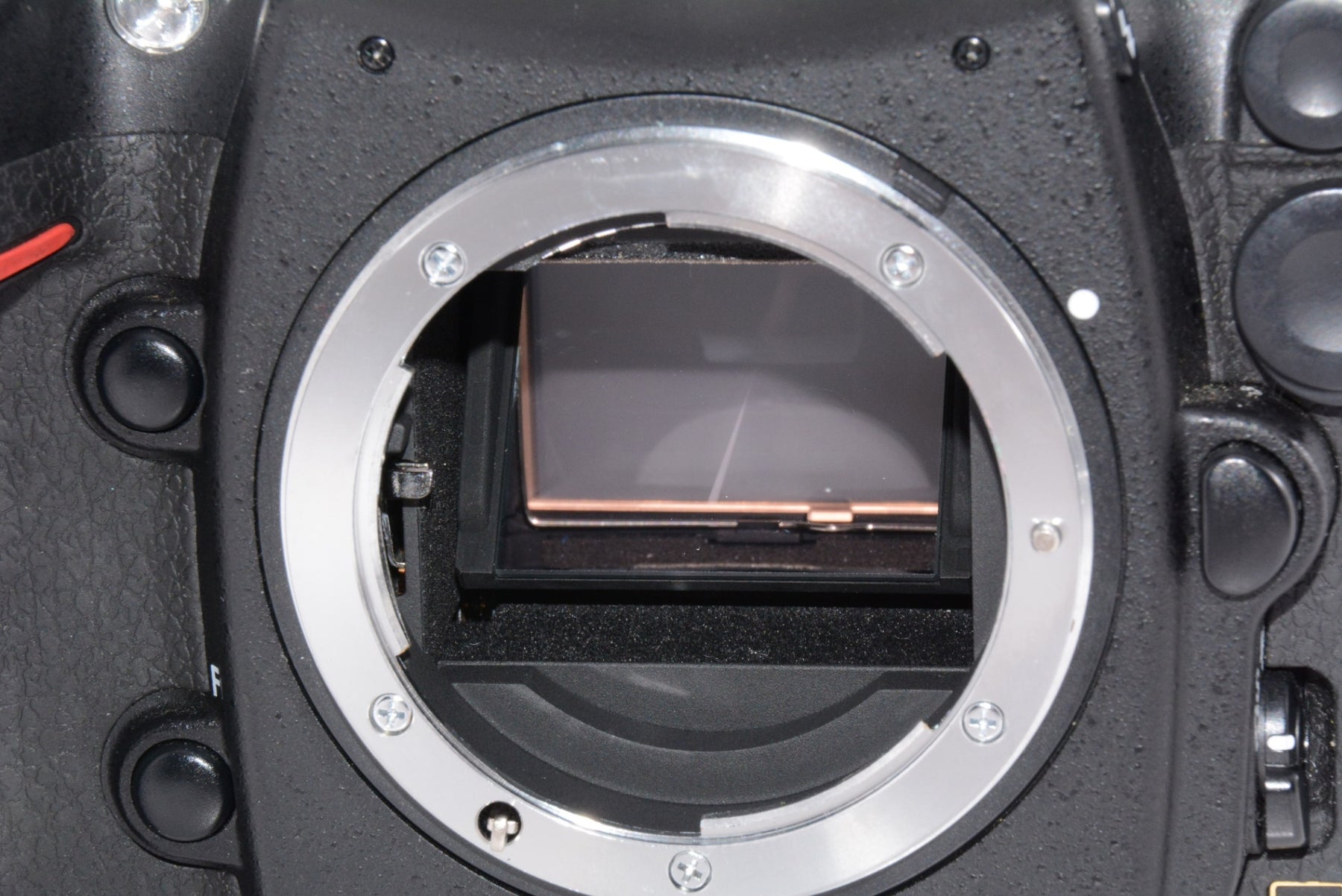 【外観並級】Nikon デジタル一眼レフカメラ D700 ボディ
