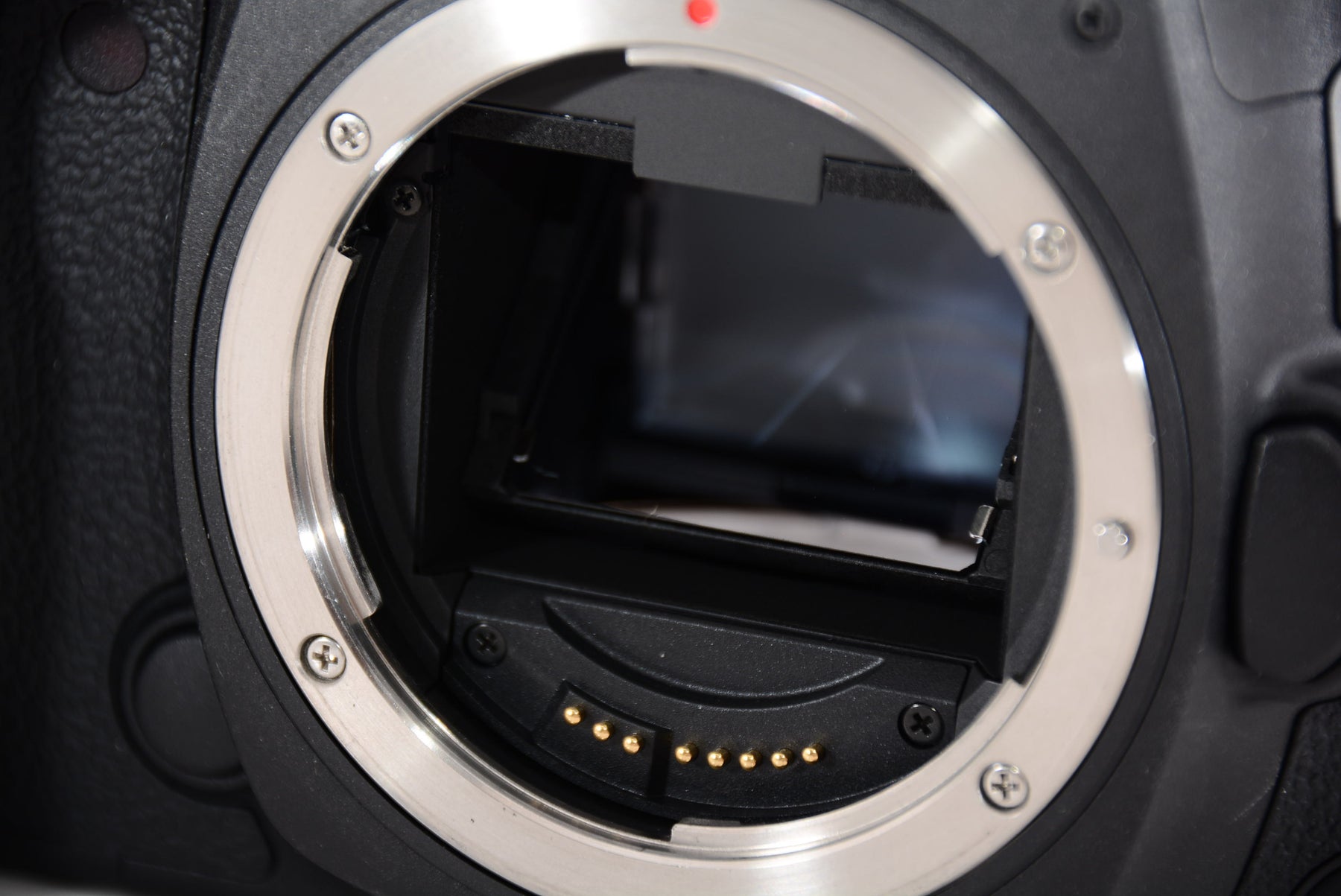 【外観特上級】Canon デジタル一眼レフカメラ EOS 5D Mark IV ボディー EOS5DMK4