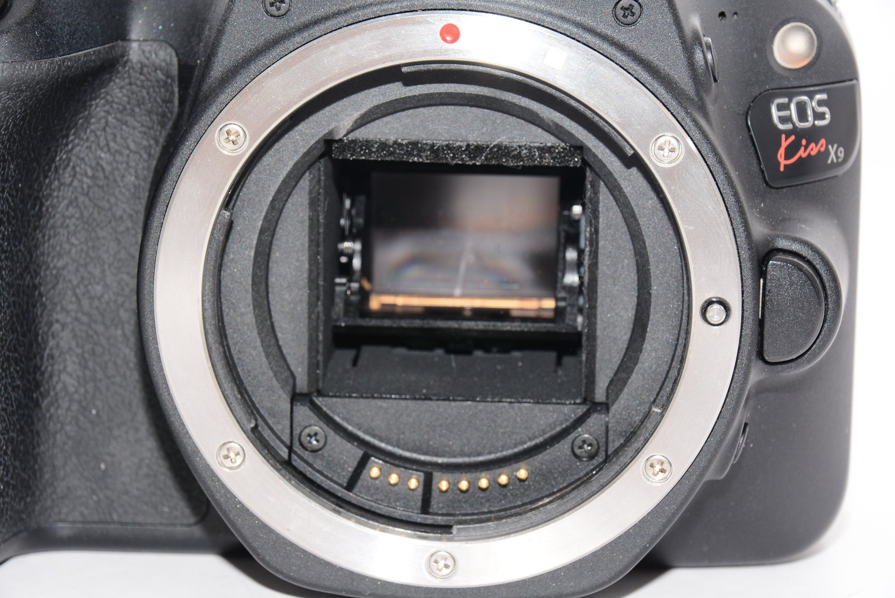 【オススメ】Canon デジタル一眼レフカメラ EOS Kiss X9 ボディ ブラック EOSKISSX9BK