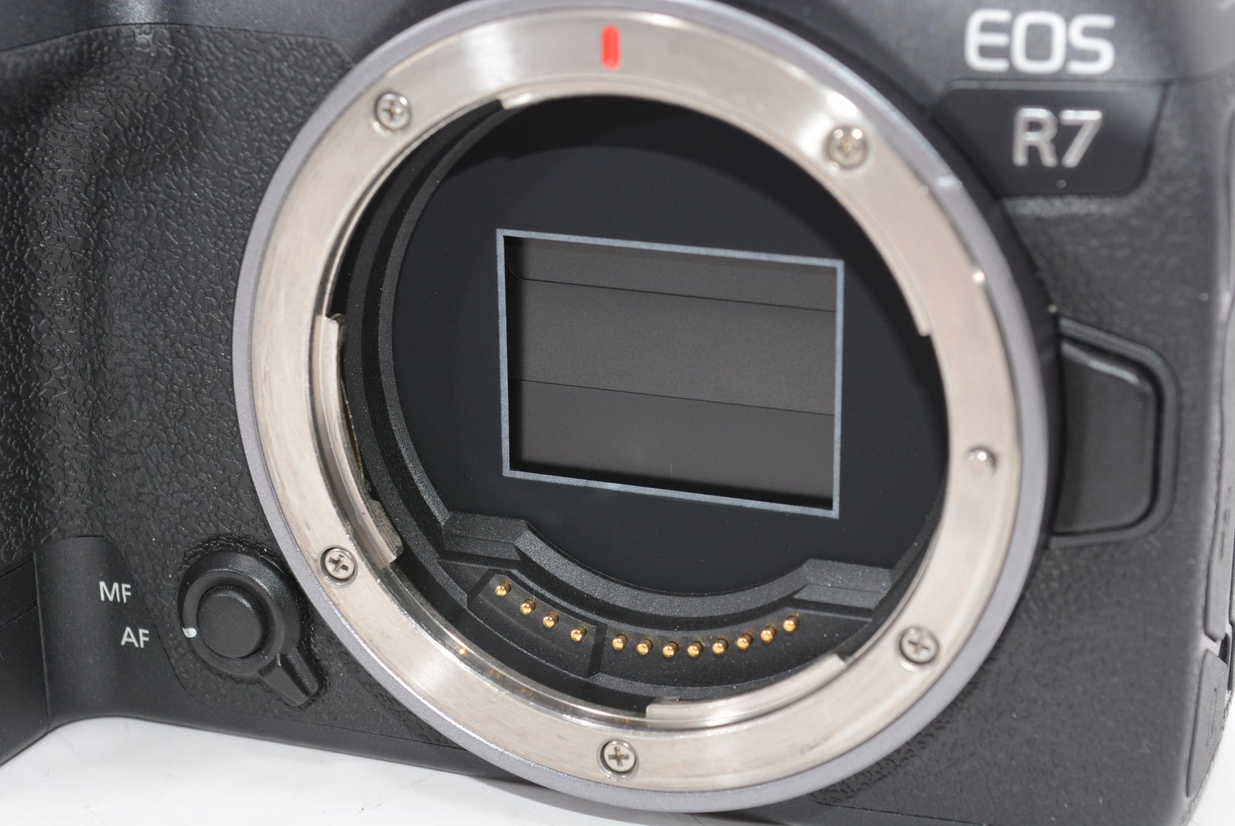 【外観特上級】キヤノン EOS R7 ボディ