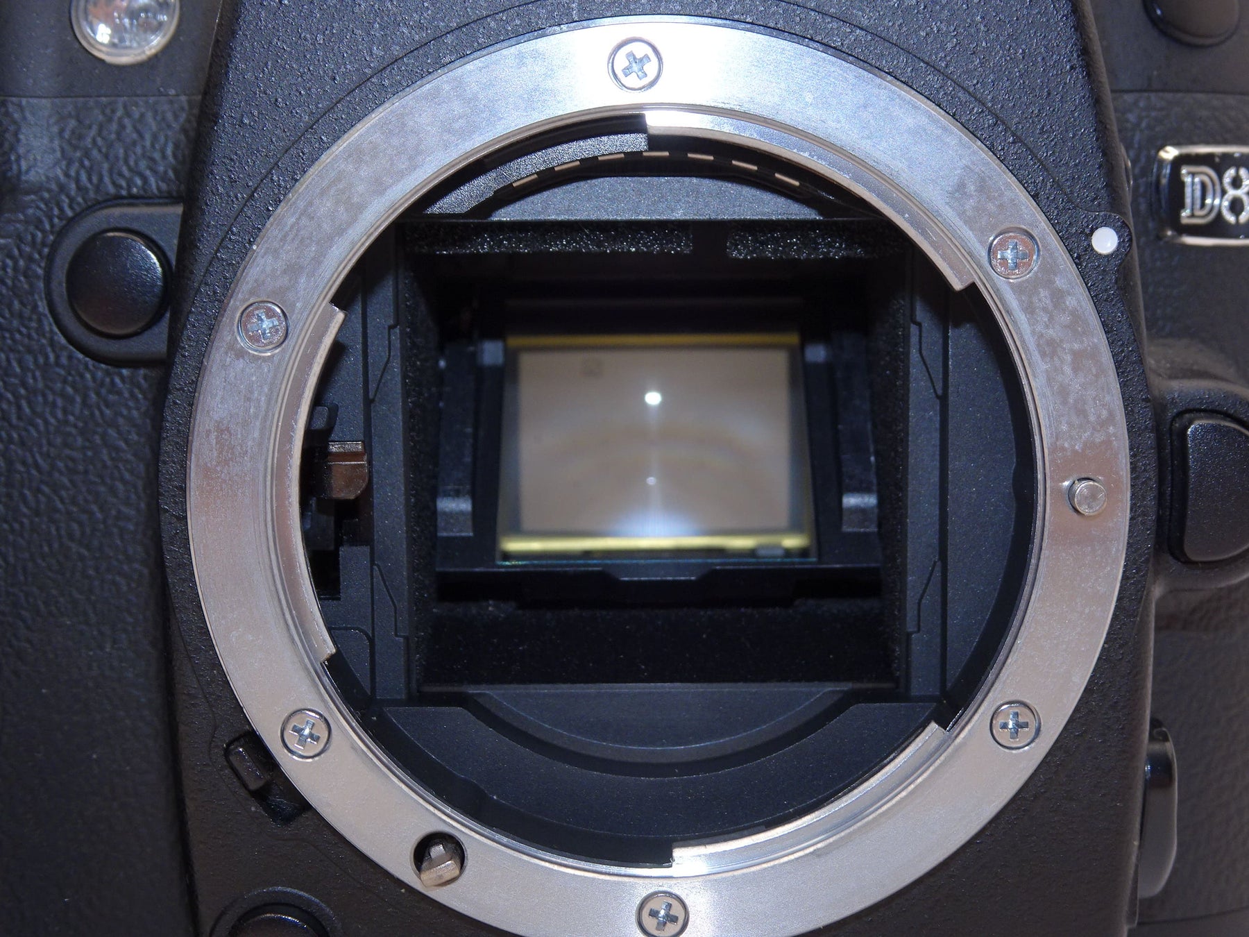【外観特上級】Nikon デジタル一眼レフカメラ D80 ボディ