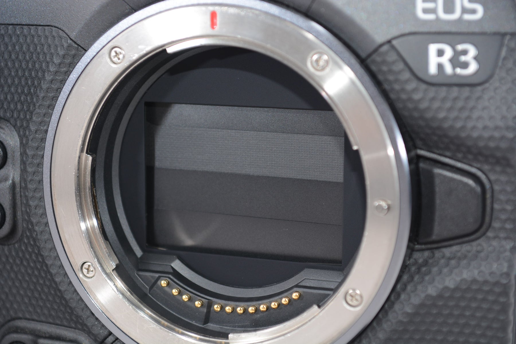 【外観特上級】Canon (キャノン) EOS R3 カメラボディ