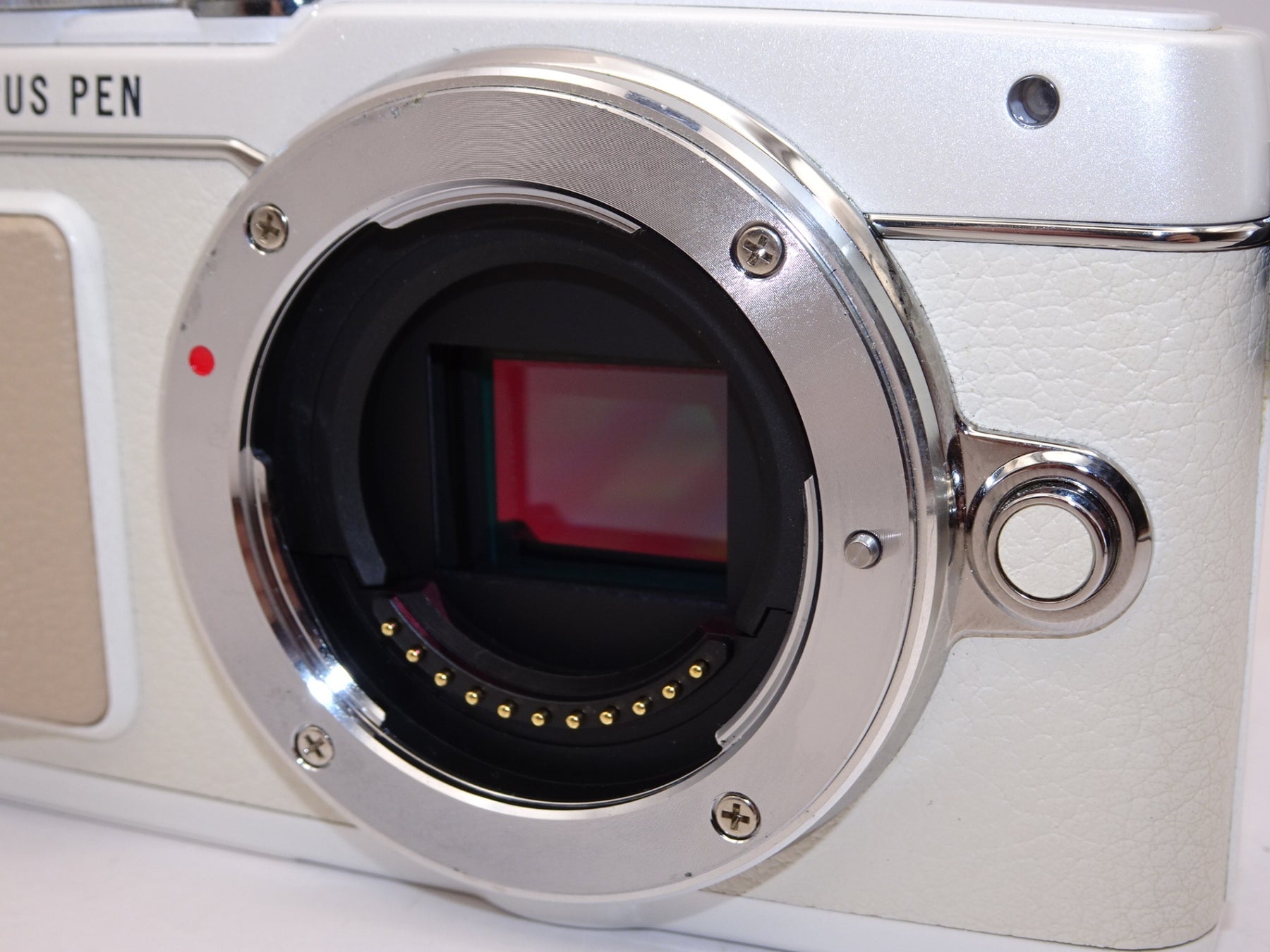 【外観特上級】OLYMPUS PEN E-PL7 ボディ ホワイト ミラーレス一眼 PEN E-PL7 BODY WHT