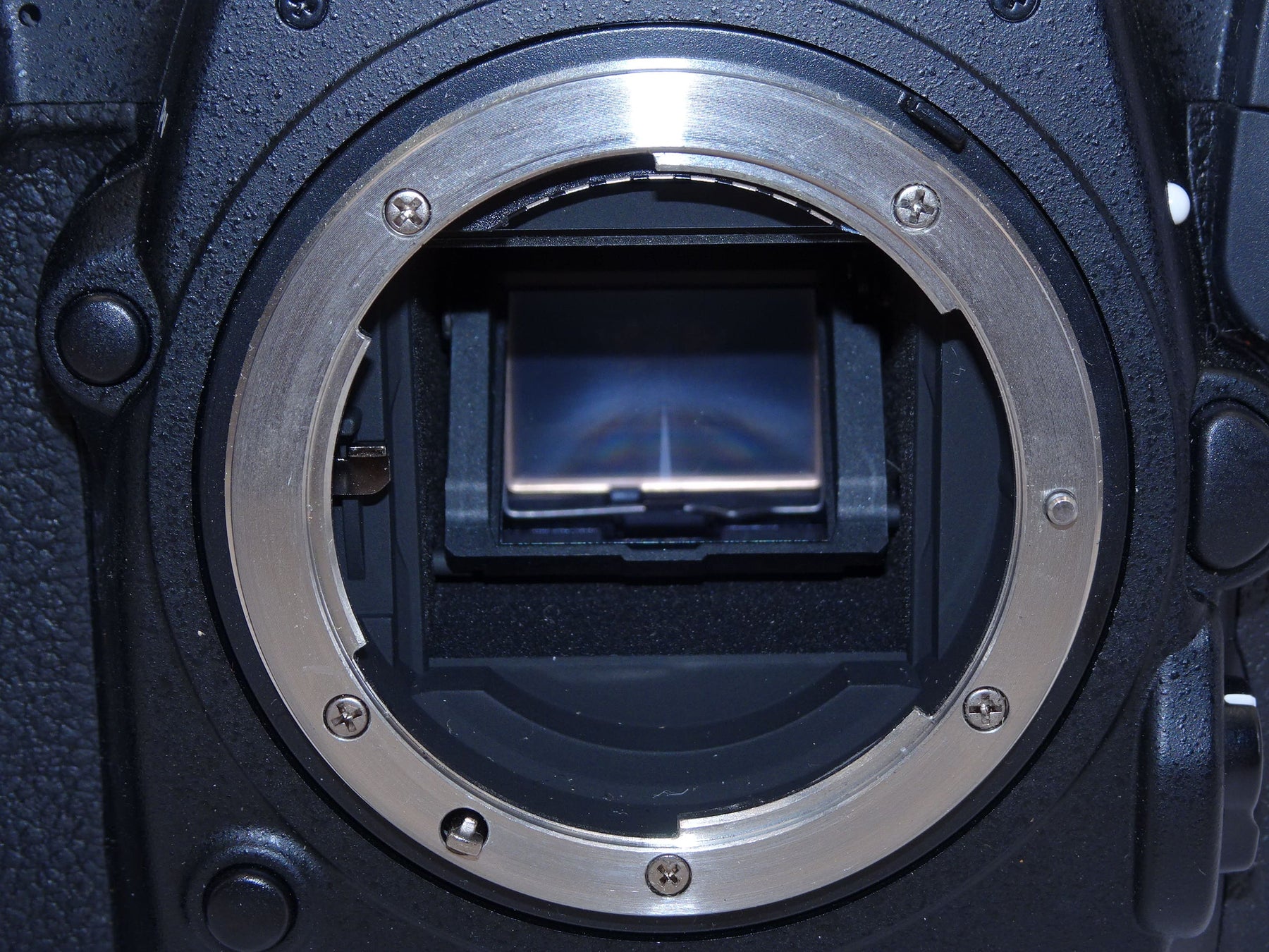【外観特上級】Nikon デジタル一眼レフカメラ D500 ボディ