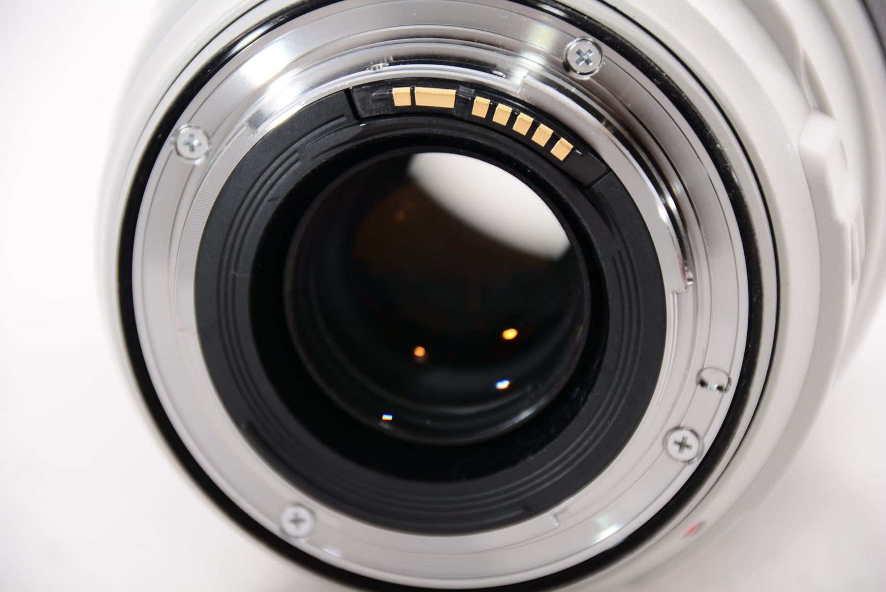 【外観特上級】Canon 望遠ズームレンズ EF70-300mm F4-5.6L IS USM フルサイズ対応