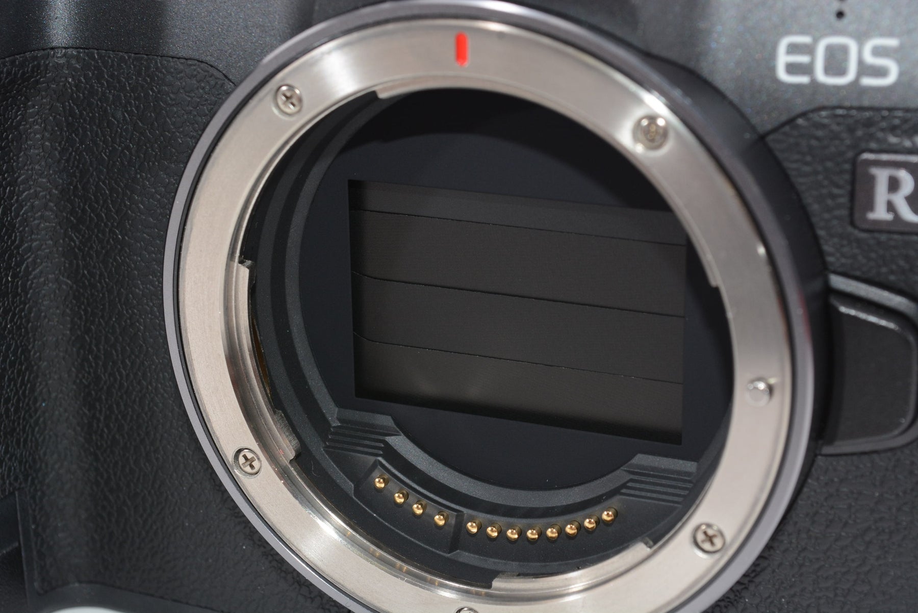 【外観特上級】Canon ミラーレス一眼カメラ EOS R ボディー EOSR
