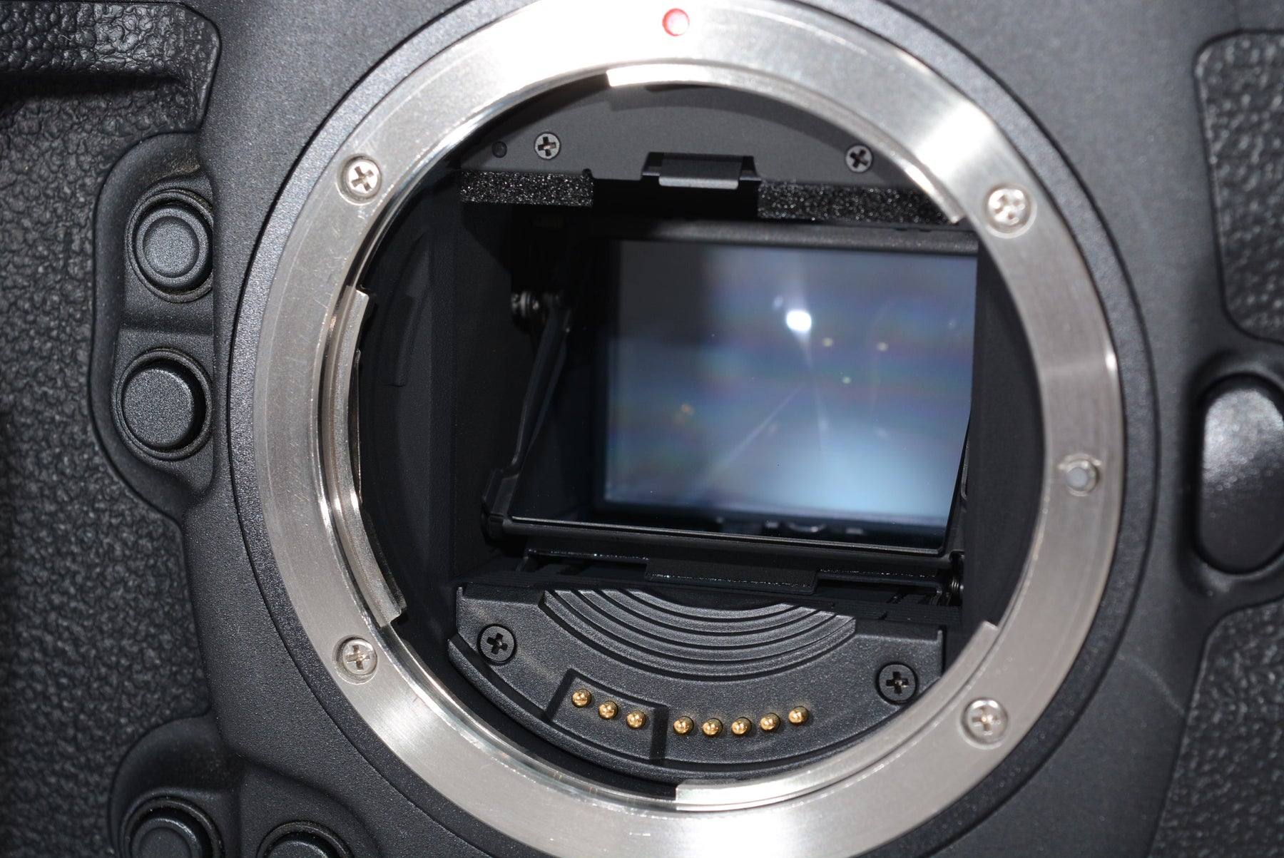 【外観特上級】Canon デジタル一眼レフカメラ EOS-1D X Mark II ボディ EOS-1DXMK2