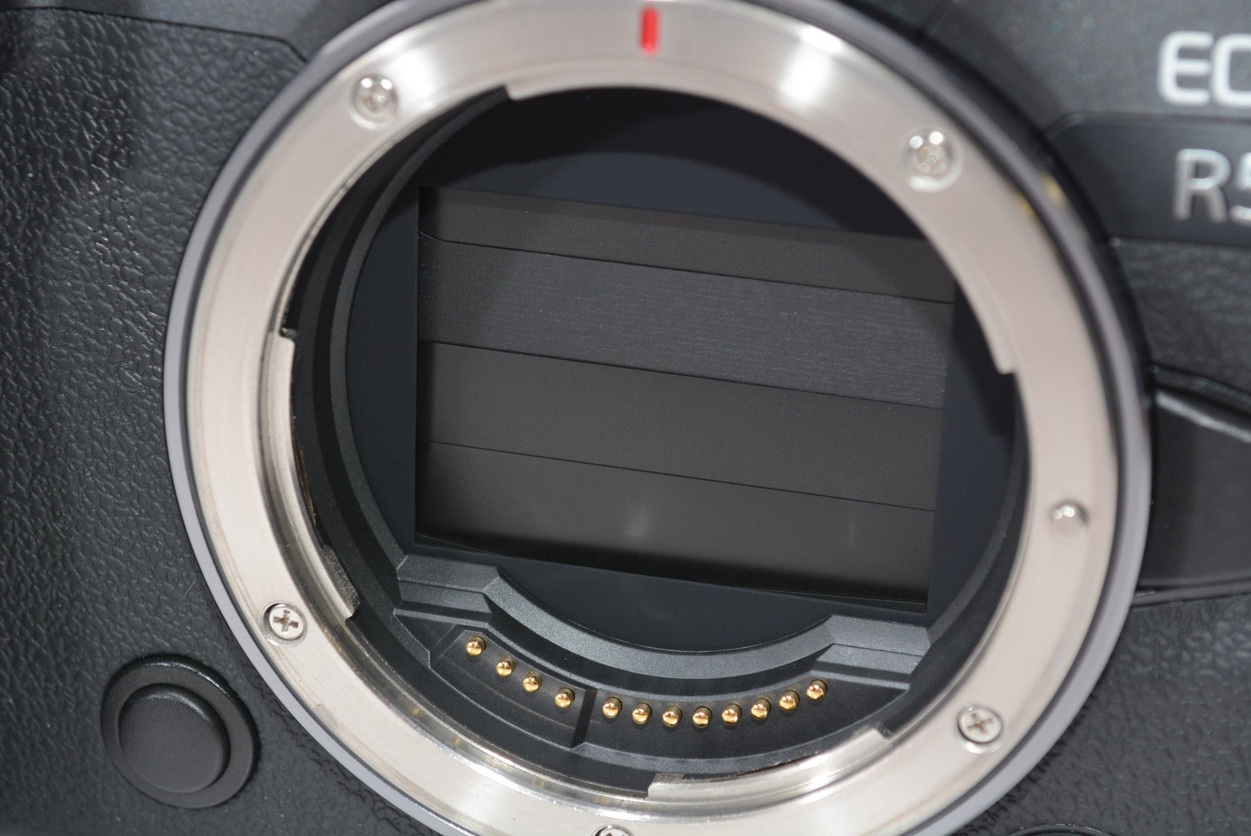 【外観特上級】Canon ミラーレス一眼カメラ EOS R5 ボディー EOSR5