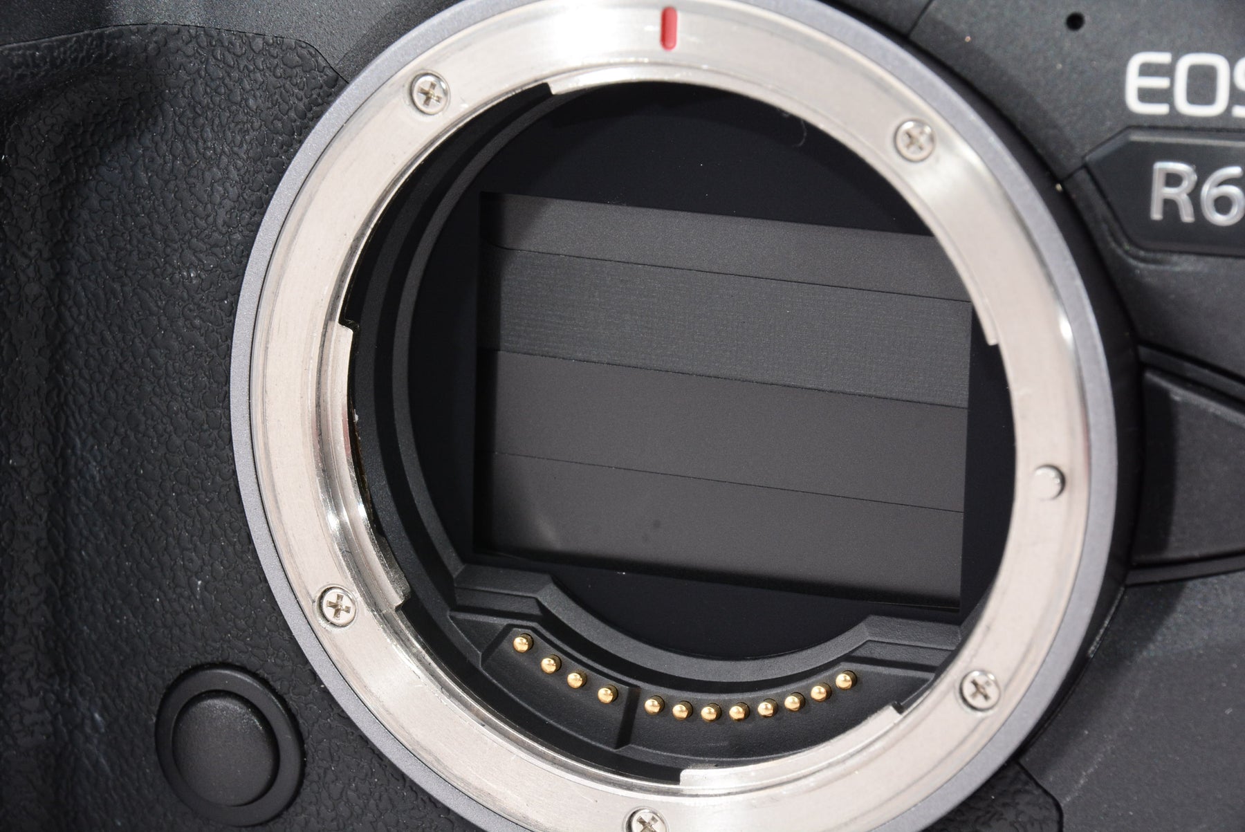 【外観特上級】Canon ミラーレス一眼カメラ EOS R6 ボディー EOSR6
