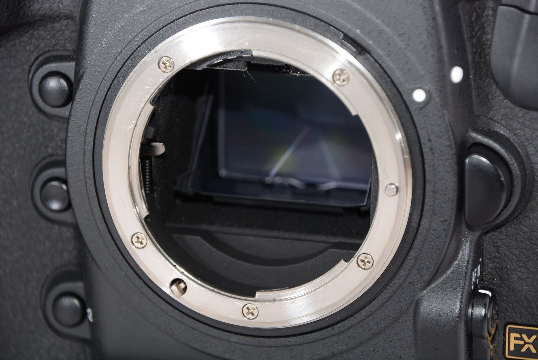 【外観特上級】Nikon デジタル一眼レフカメラ D5 (XQD-Type)