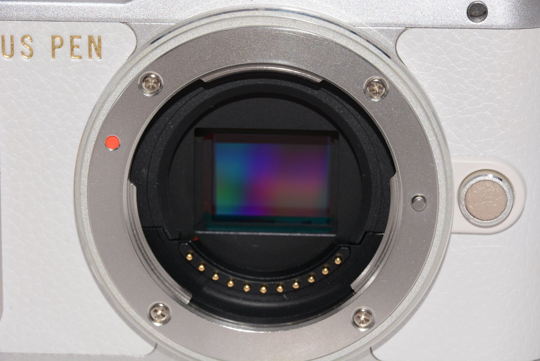 【外観特上級】OLYMPUS ミラーレス一眼 E-PL8 ボディー ホワイト