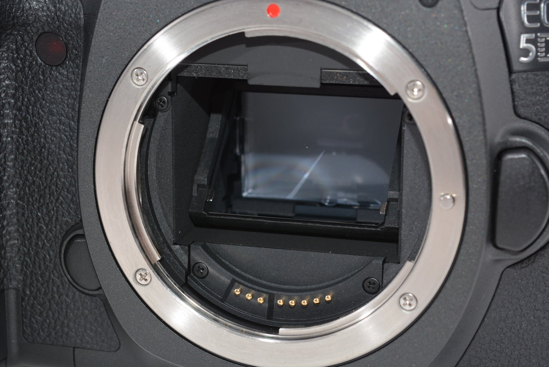 【外観特上級】Canon デジタル一眼レフカメラ EOS 5Ds R ボディ 5060万画素 EOS5DSR