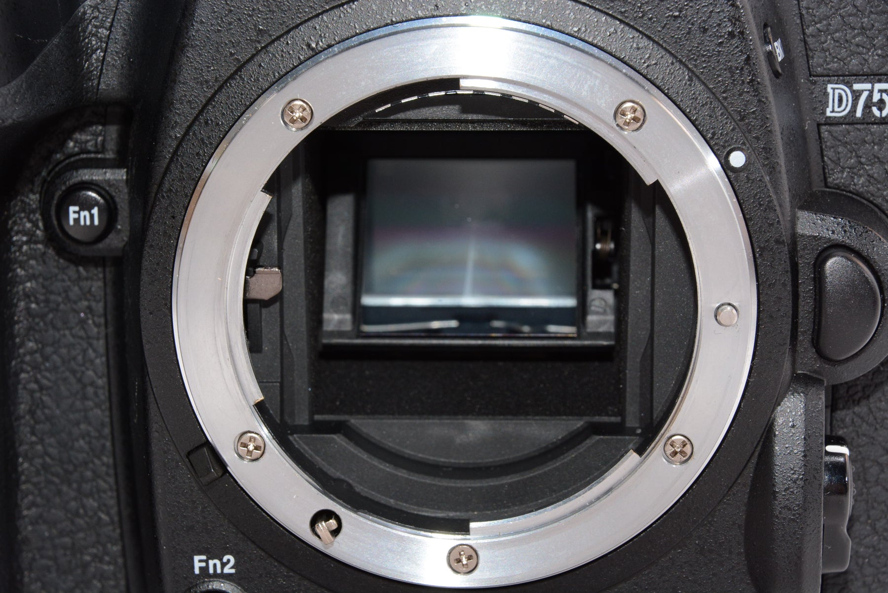 【外観特上級】Nikon デジタル一眼レフカメラ D7500 ボディ ブラック