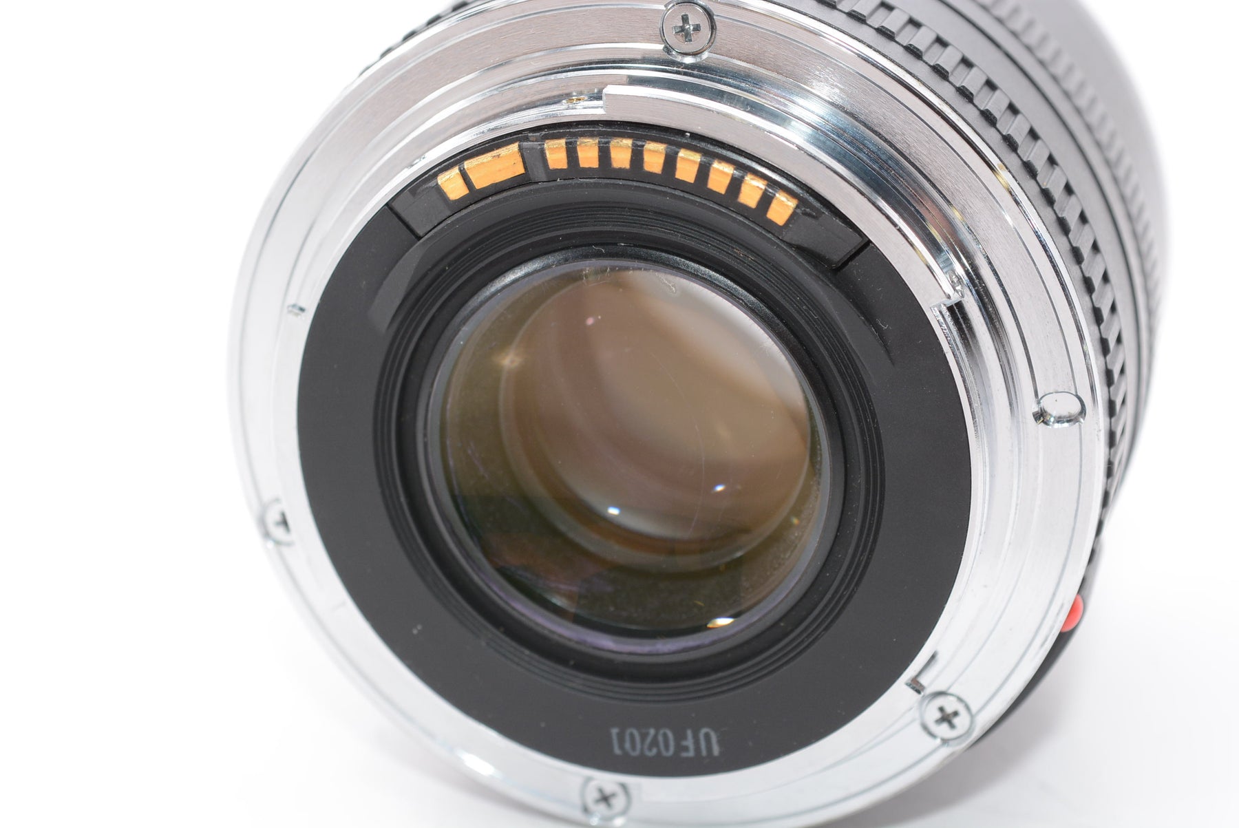 【外観特上級】Canon 単焦点マクロレンズ EF50mm F2.5 コンパクトマクロ フルサイズ対応