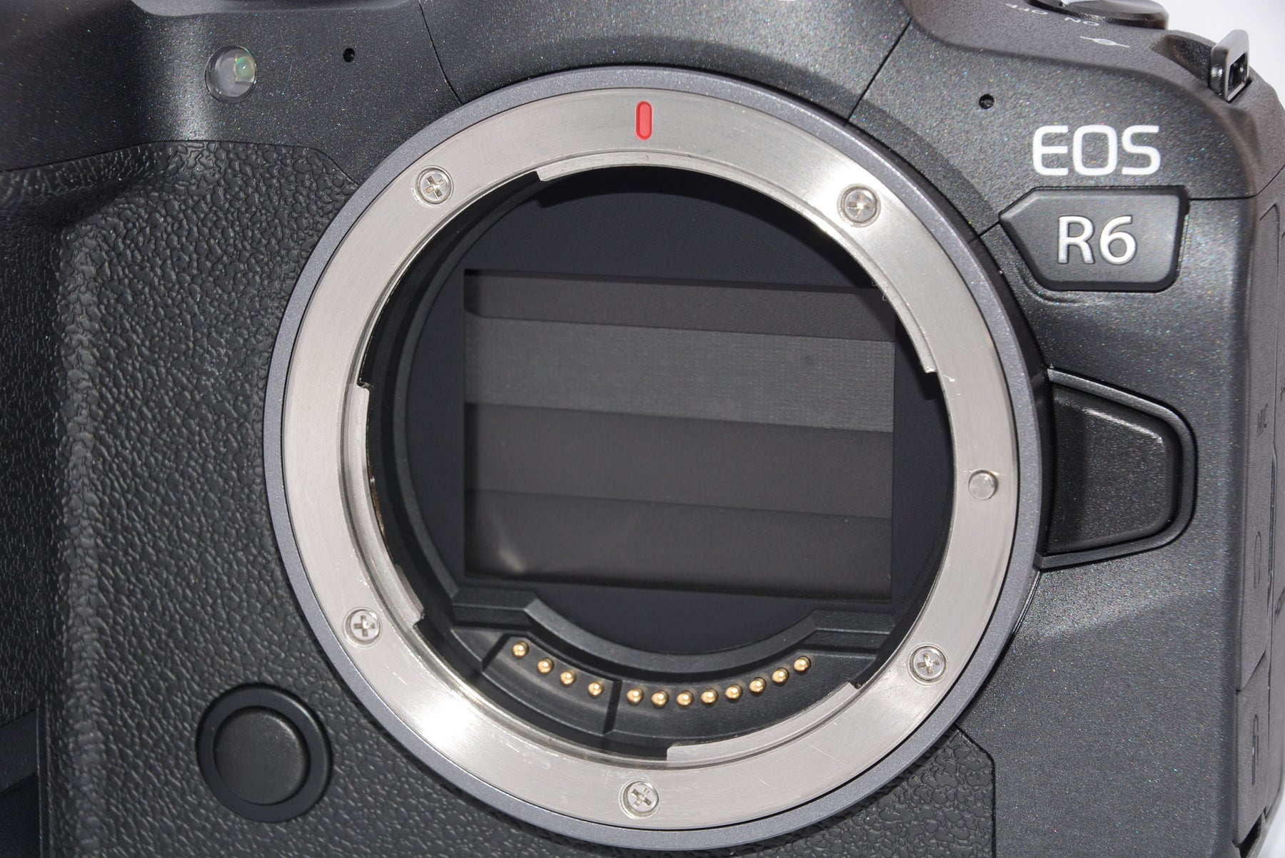 【外観特上級】Canon ミラーレス一眼カメラ EOS R6 ボディー EOSR6