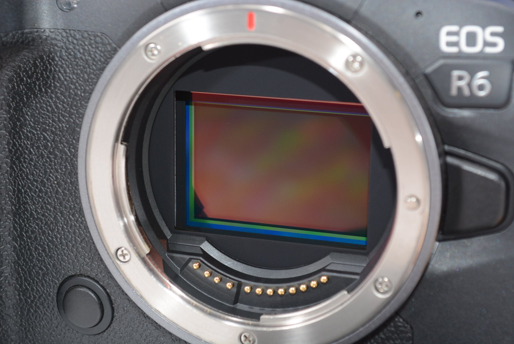 【外観特上級】Canon ミラーレス一眼カメラ EOS R6 ボディー EOSR6
