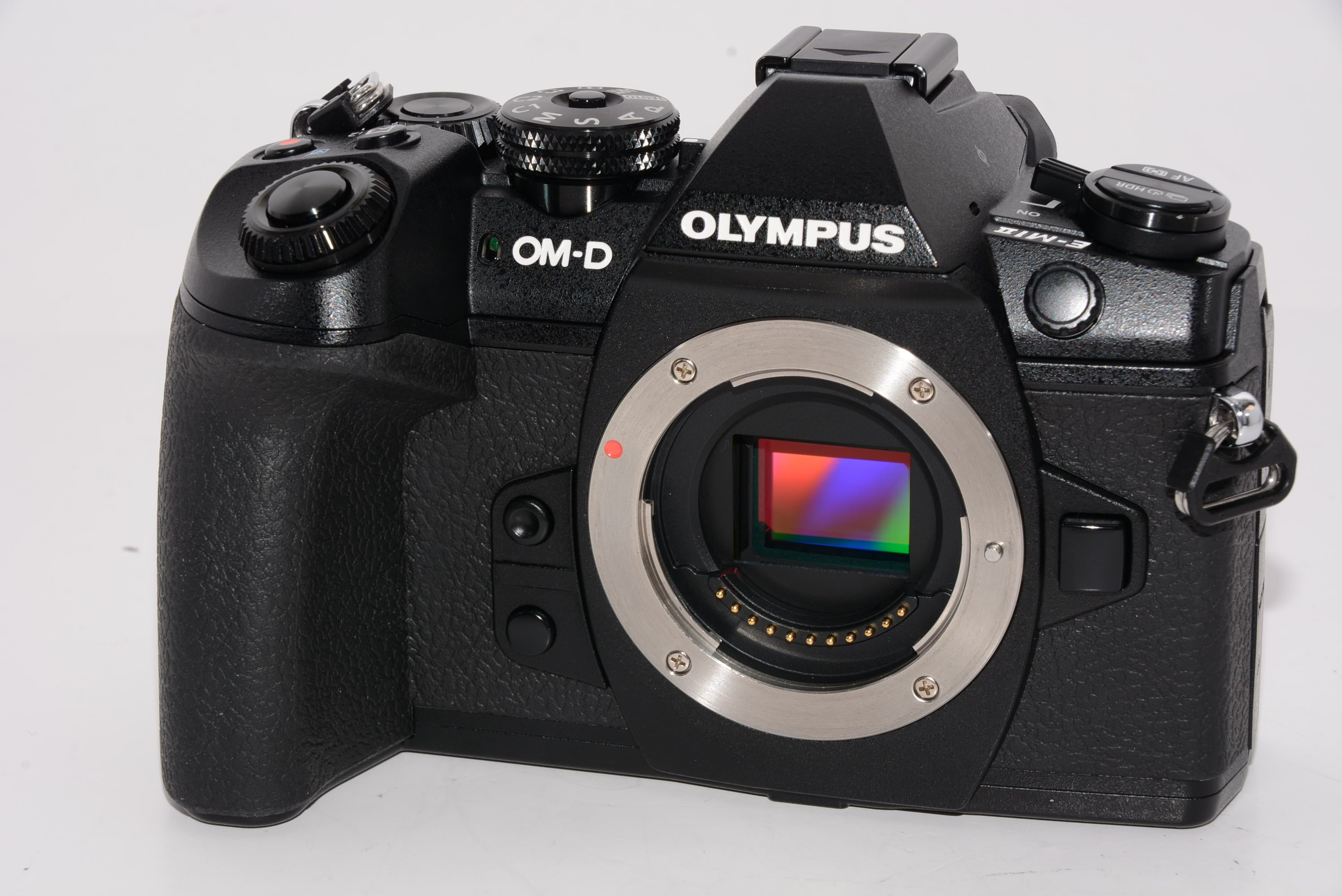 外観特上級】OLYMPUS ミラーレス一眼カメラ OM-D E-M1 MarkII ボディー