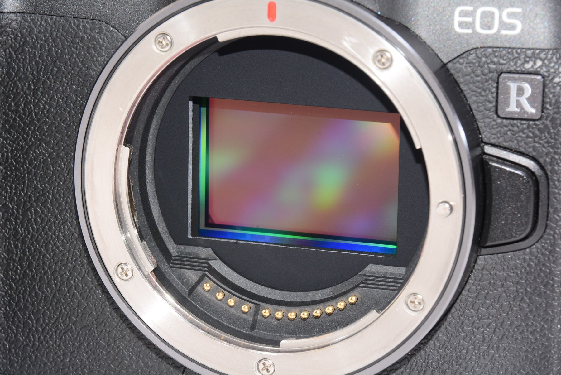 【外観特上級】Canon ミラーレス一眼カメラ EOS R ボディー EOSR