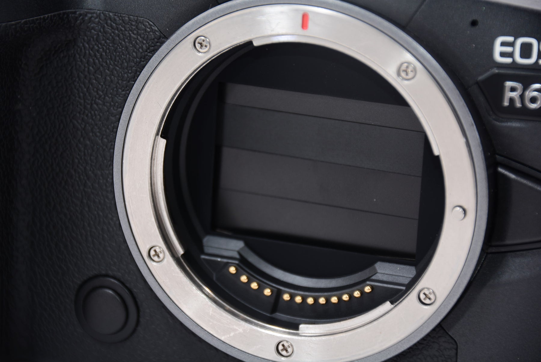 【外観特上級】Canon ミラーレス一眼カメラ EOS R6 ボディー EOSR6
