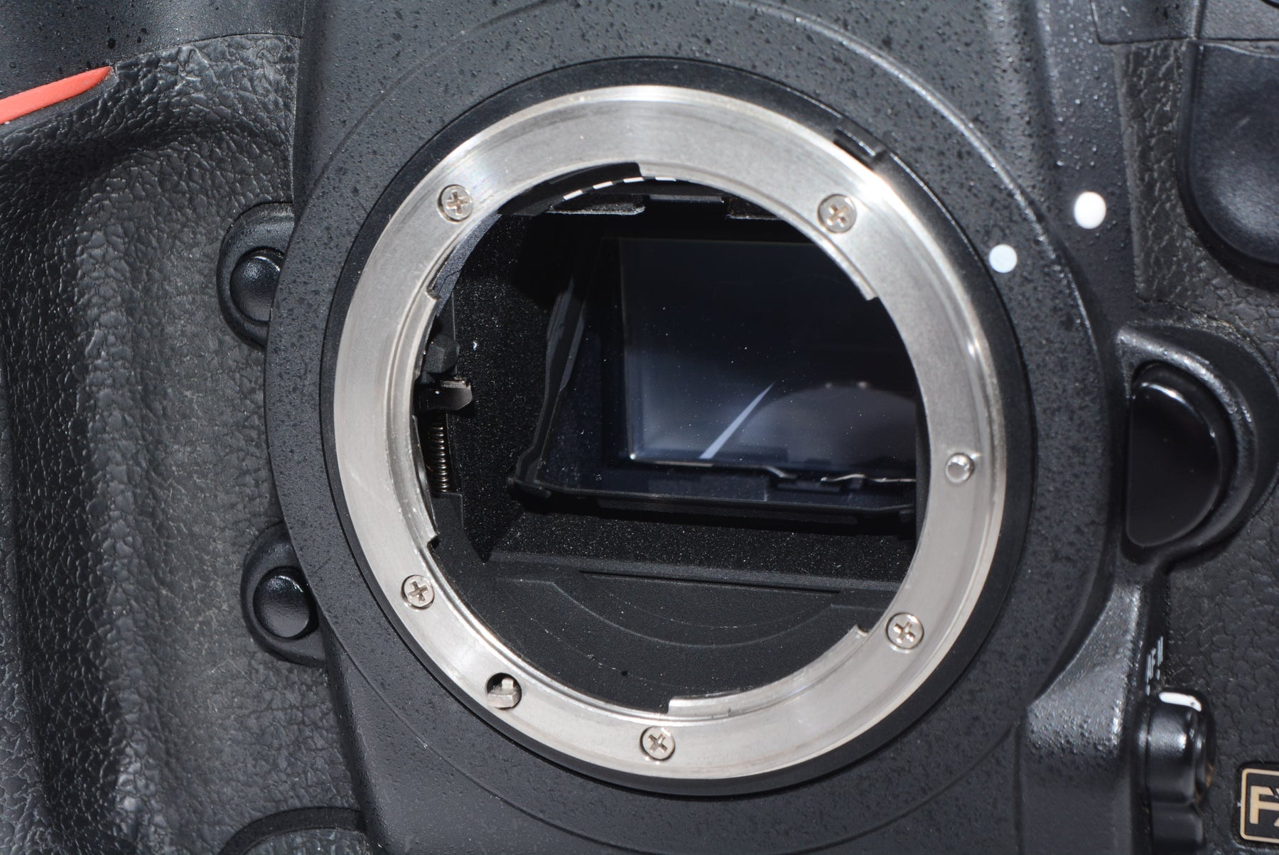【外観特上級】Nikon デジタル一眼レフカメラ D4Sボディー