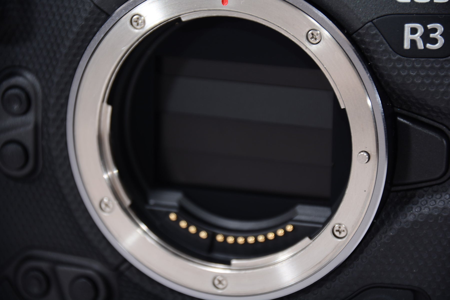 【外観特上級】Canon (キャノン) EOS R3 カメラボディ