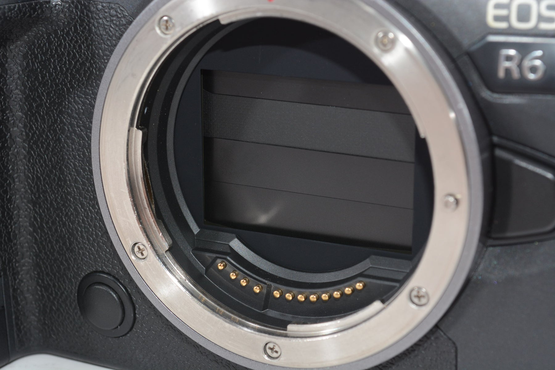【外観特上級】Canon ミラーレス一眼カメラ EOS R6 ボディー EOSR6