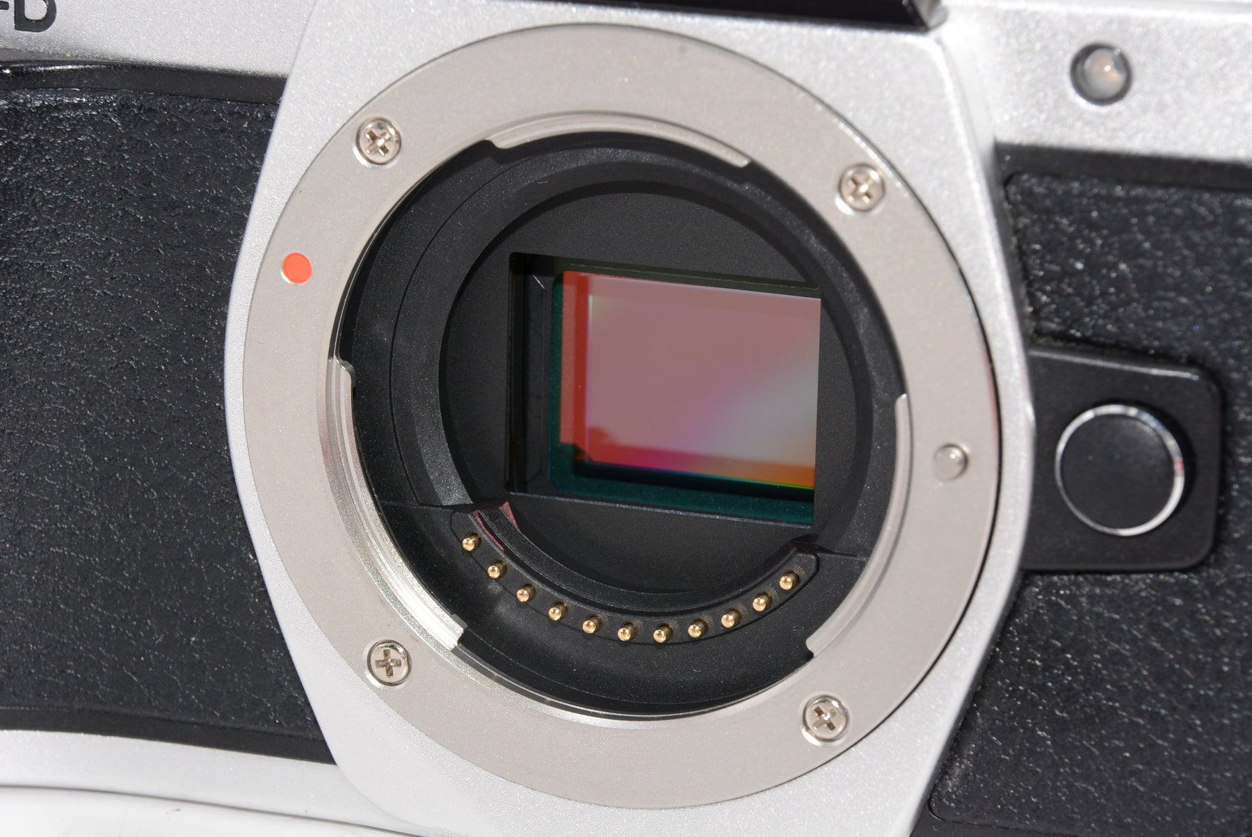 【外観特上級】OLYMPUS ミラーレス一眼 OM-D E-M10 MarkII ボディー シルバー