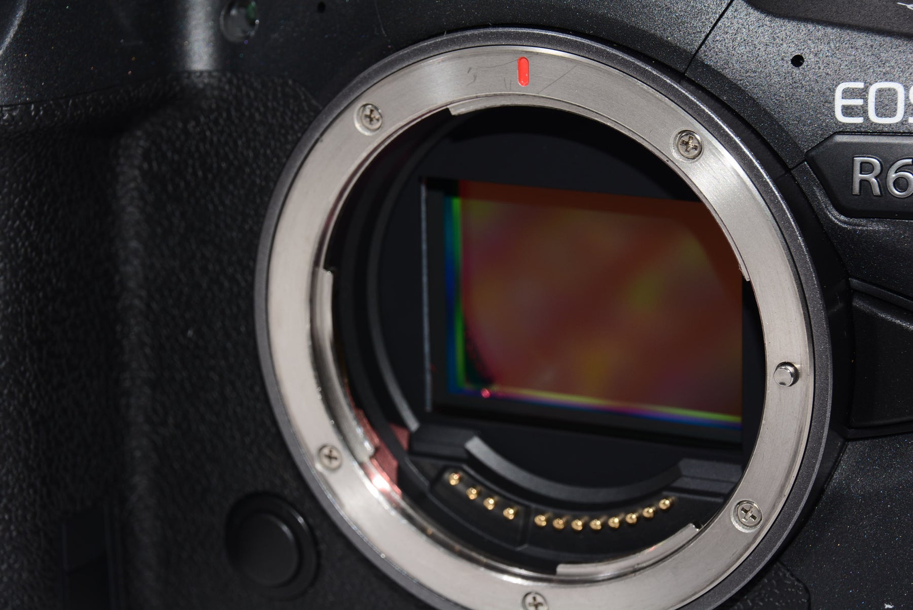 【外観特上級】Canon ミラーレス一眼カメラ EOS R6 ボディー EOSR6