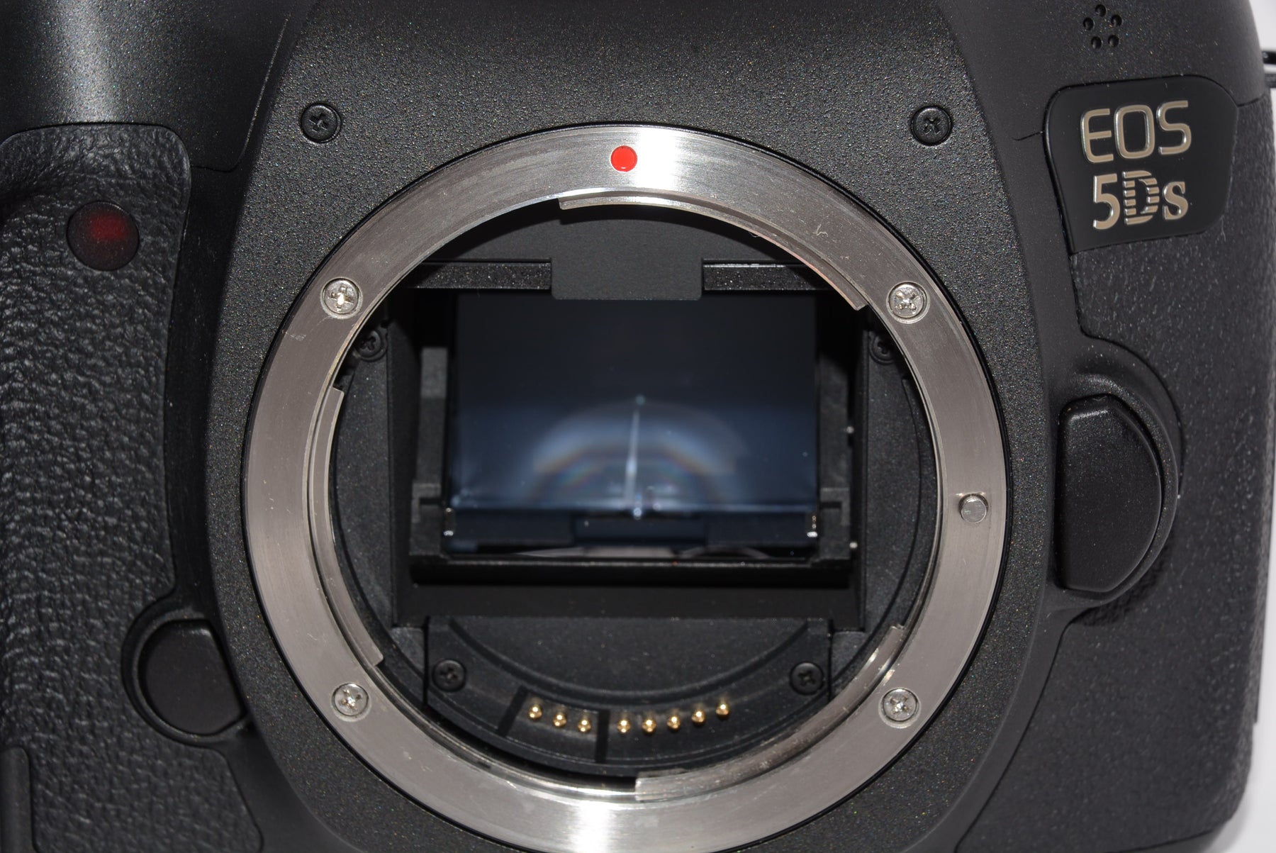 【外観特上級】Canon デジタル一眼レフカメラ EOS 5Ds ボディ 5060万画素 EOS5DS