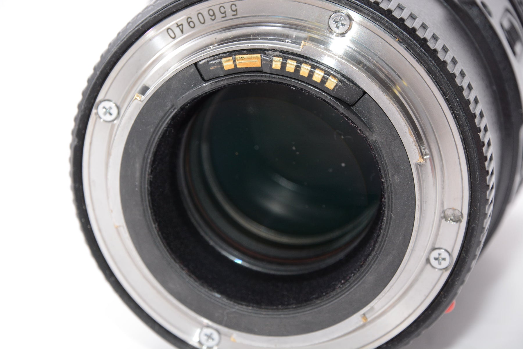 【外観特上級】Canon 単焦点マクロレンズ EF100mm F2.8L マクロ IS USM フルサイズ対応