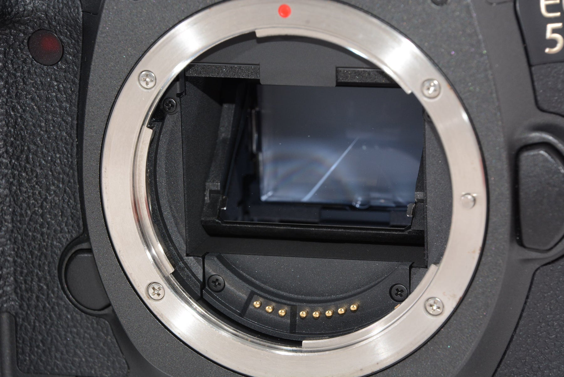 【外観特上級】Canon デジタル一眼レフカメラ EOS 5Ds ボディ 5060万画素 EOS5DS