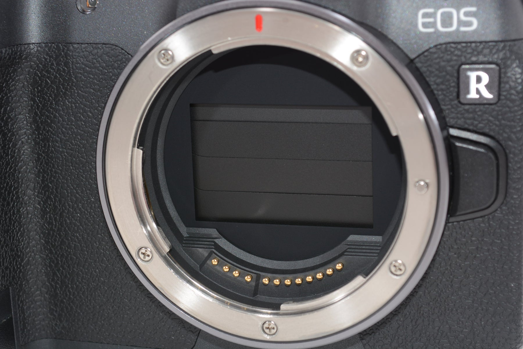 【外観特上級】Canon ミラーレス一眼カメラ EOS R ボディー EOSR