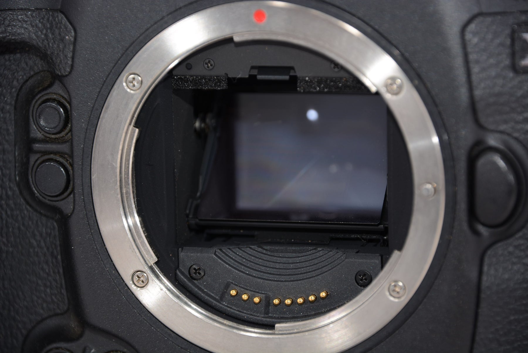 【外観特上級】Canon デジタル一眼レフカメラ EOS-1D X ボディ EOS1DX