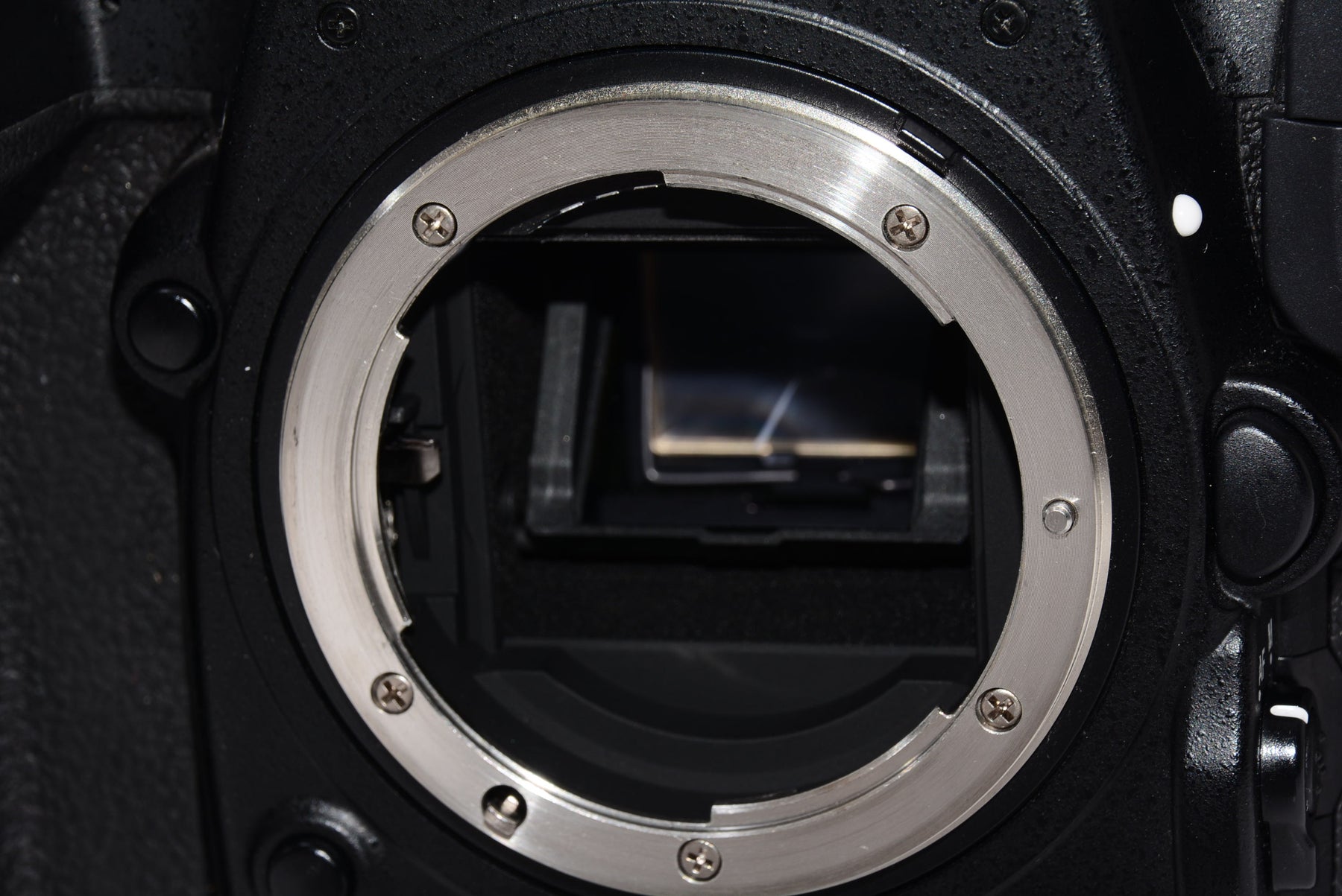 【外観特上級】Nikon デジタル一眼レフカメラ D500 ボディ